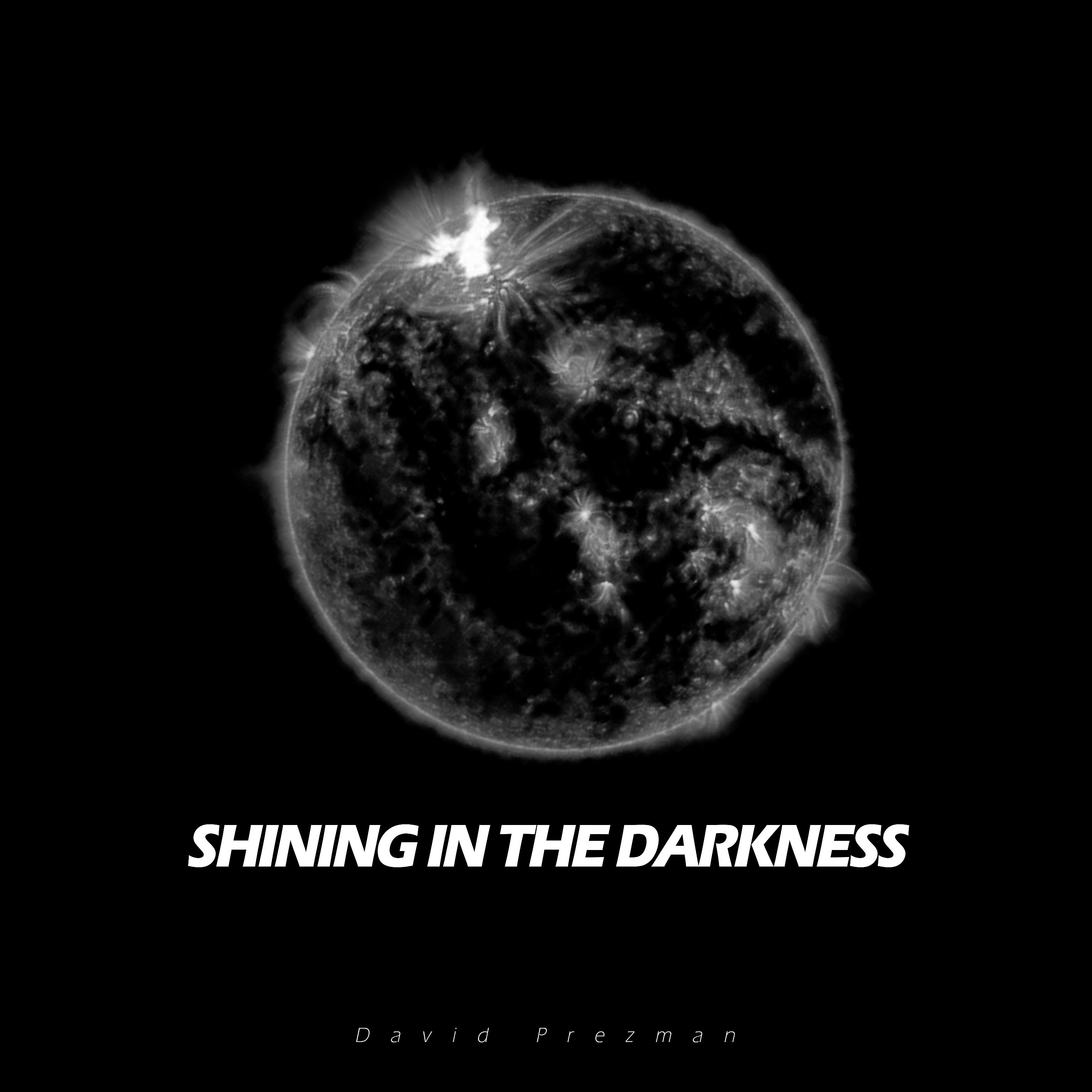 Постер альбома Shining in the Darkness