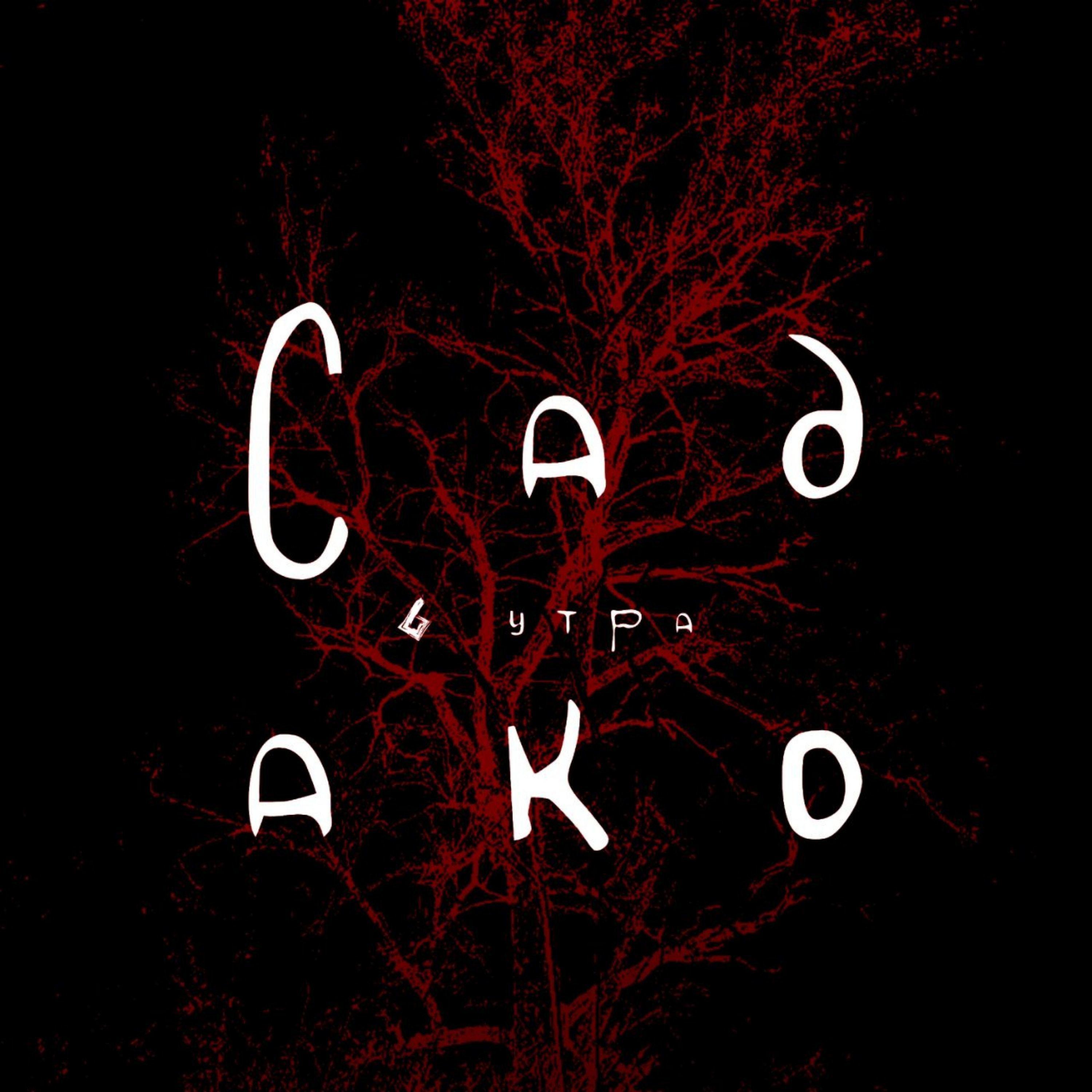 Постер альбома Садако