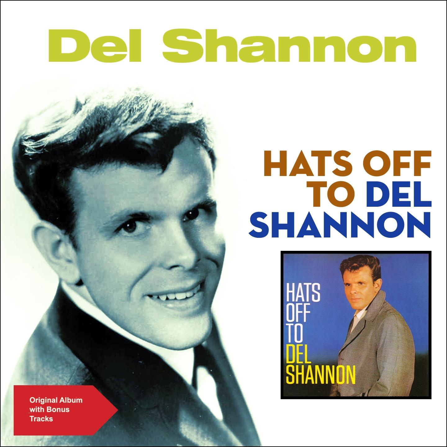 Постер альбома Hats off to Del Shannon