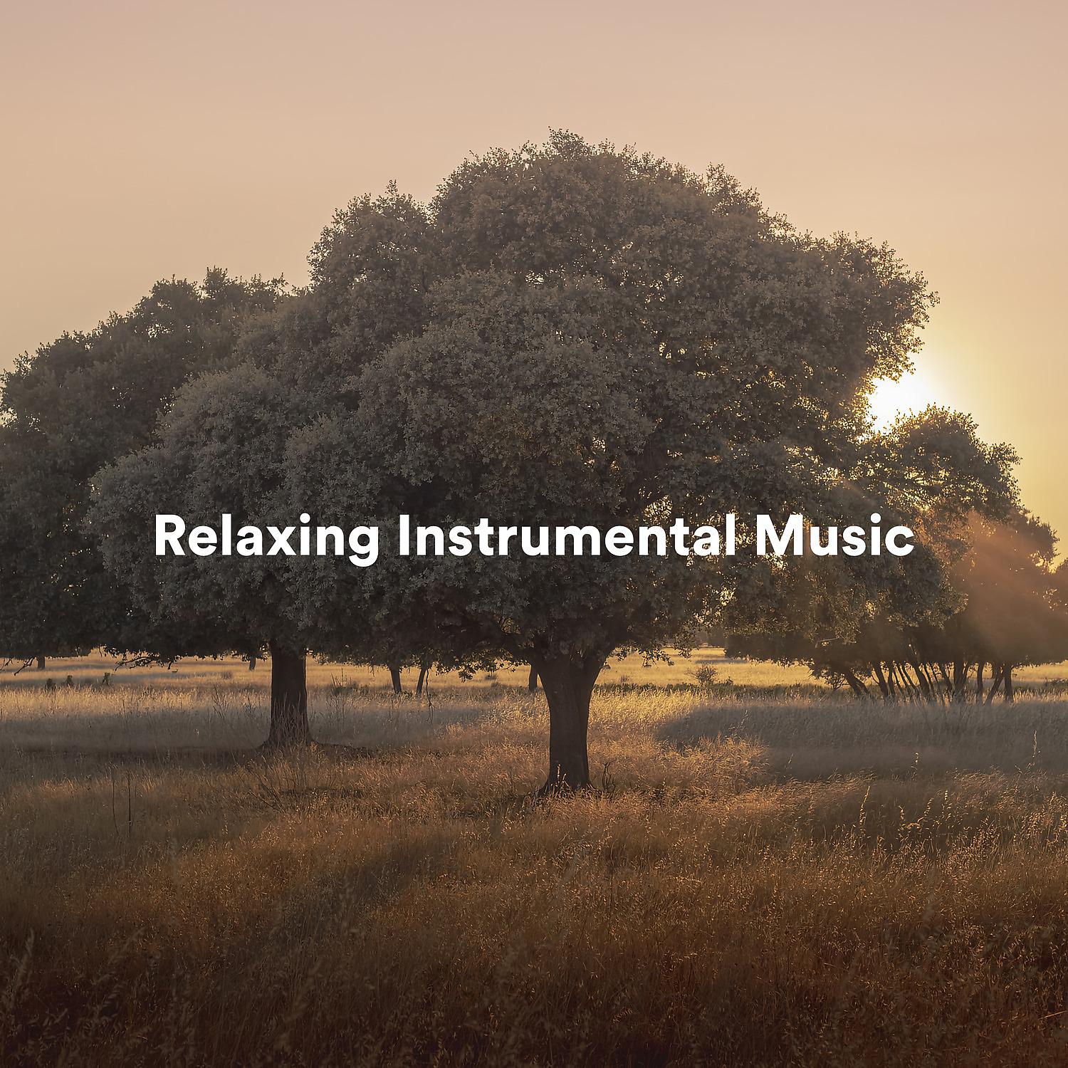Постер альбома Relaxing Instrumental Music
