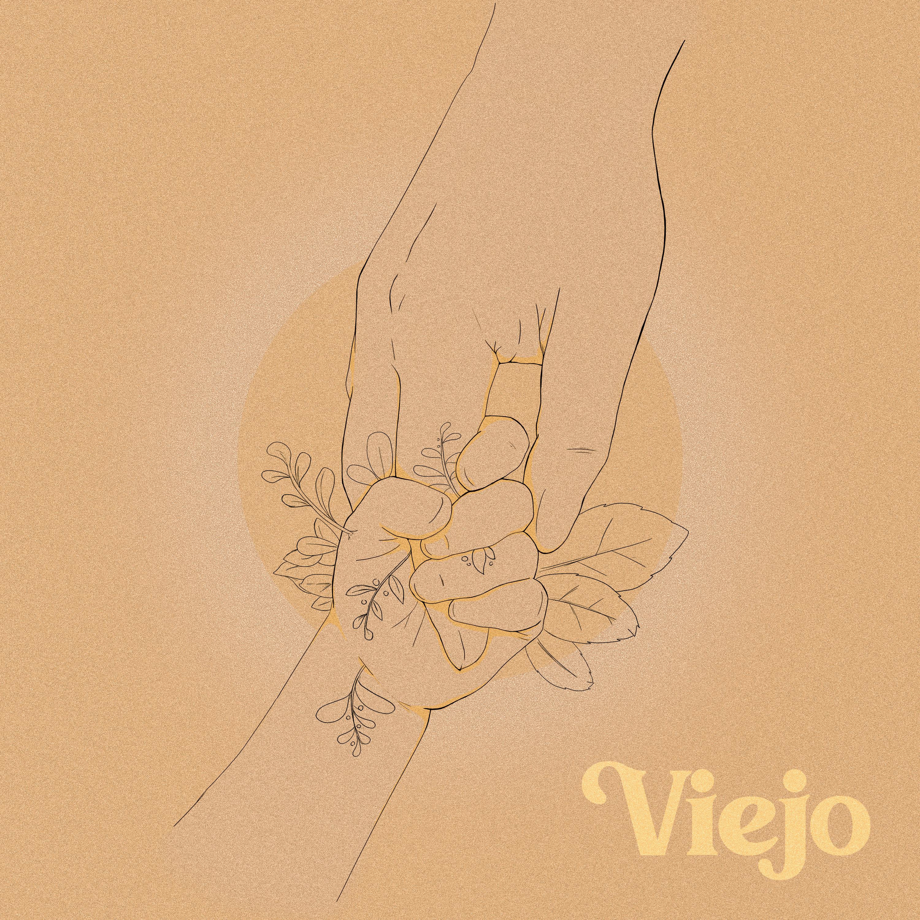 Постер альбома Viejo