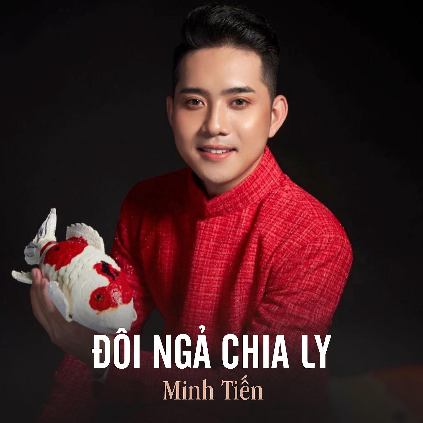 Постер альбома Đôi Ngả Chia Ly