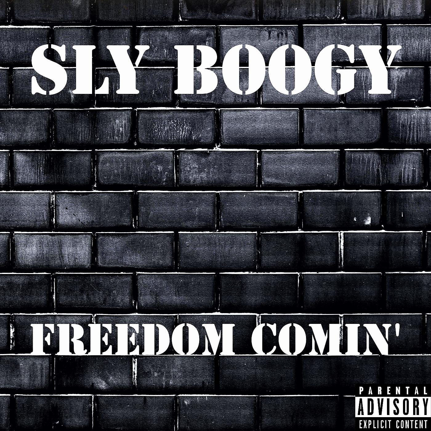 Постер альбома Freedom Comin'