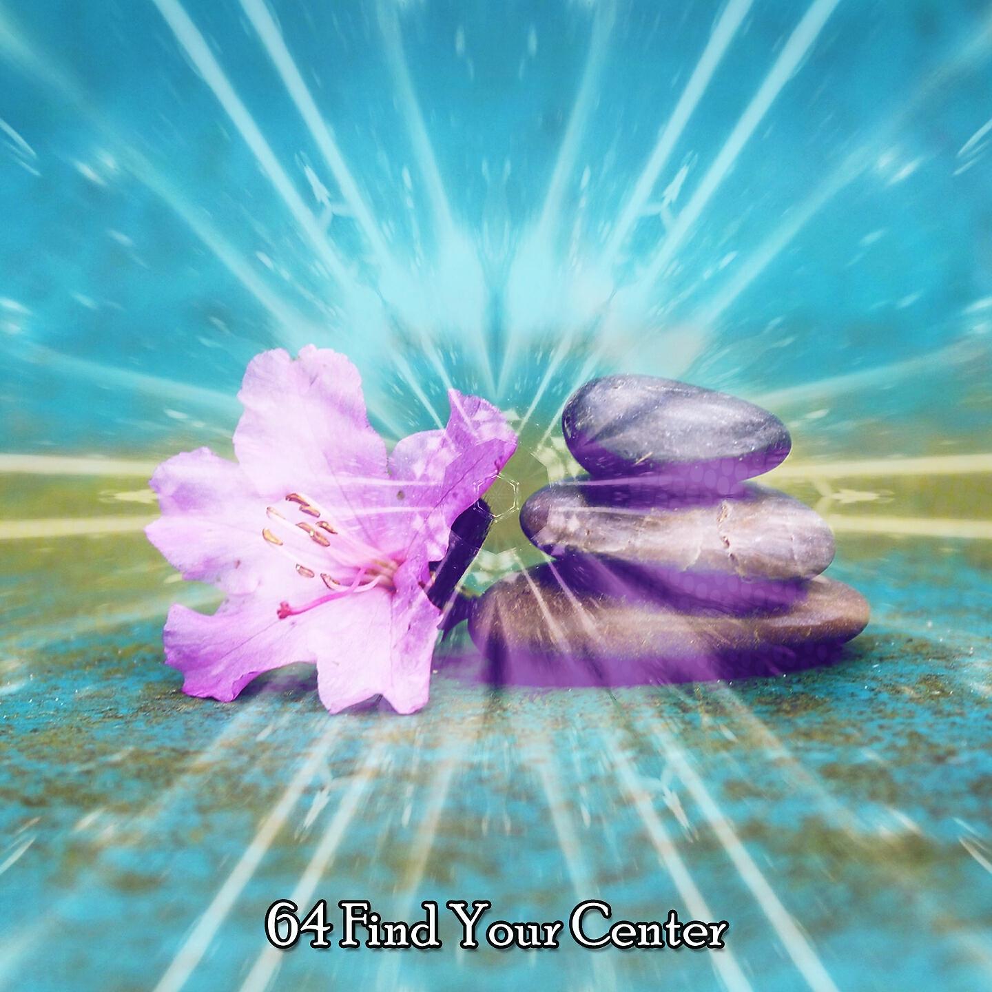 Meditation - Wealth in Happiness