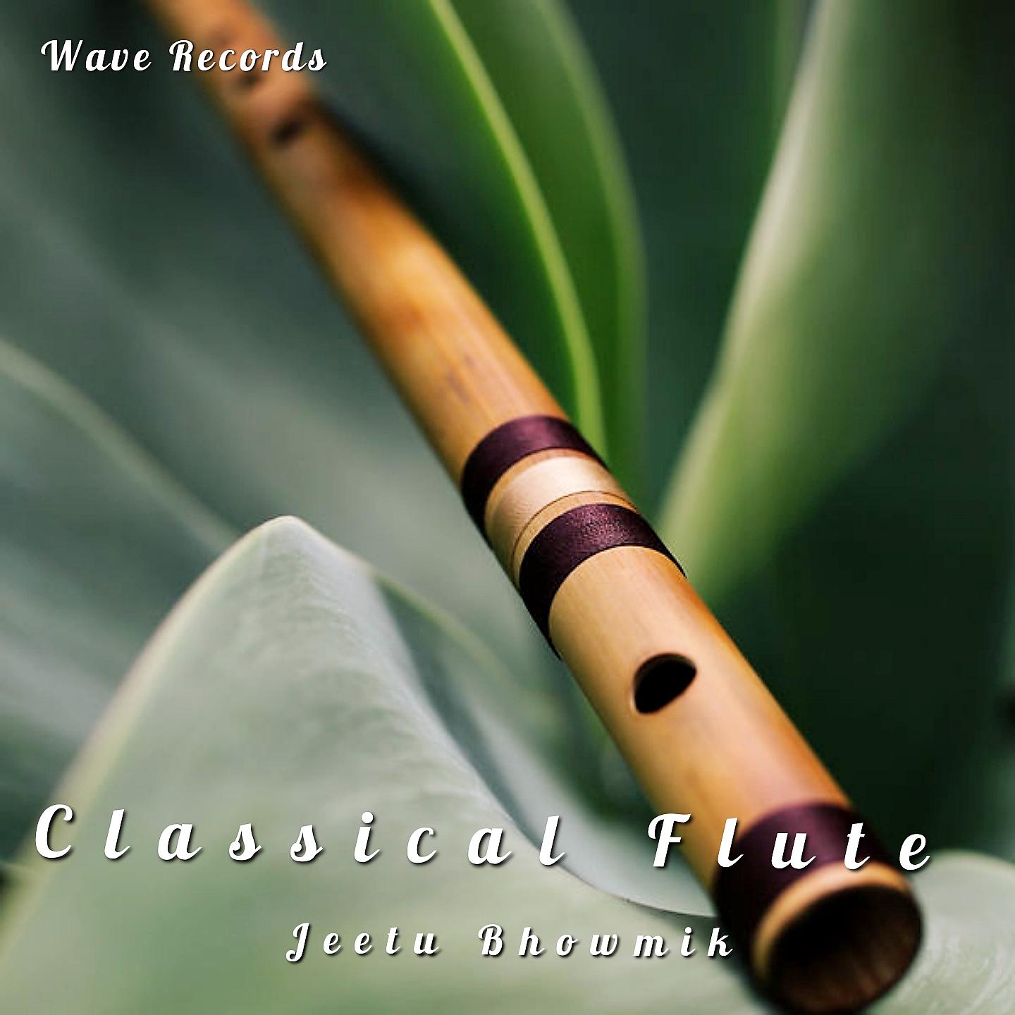 Постер альбома Classical Flute