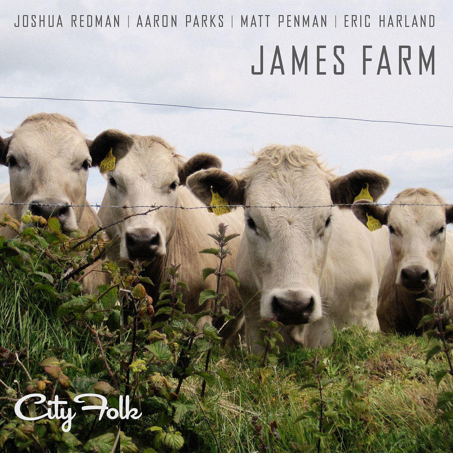 Joshua Redman - Jury's Out