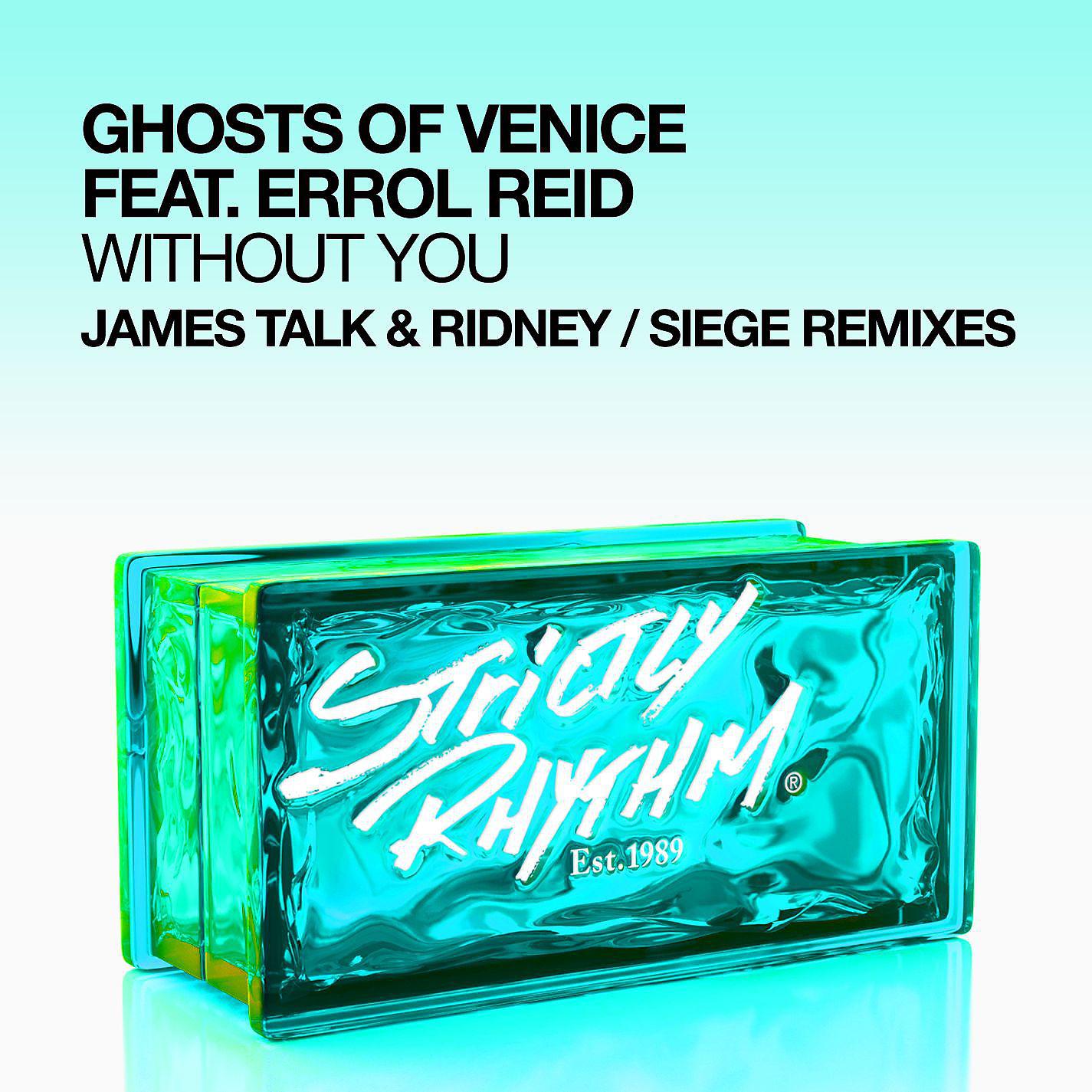 Постер альбома Without You (feat. Errol Reid) [James Talk & Ridney / Siege Remixes]