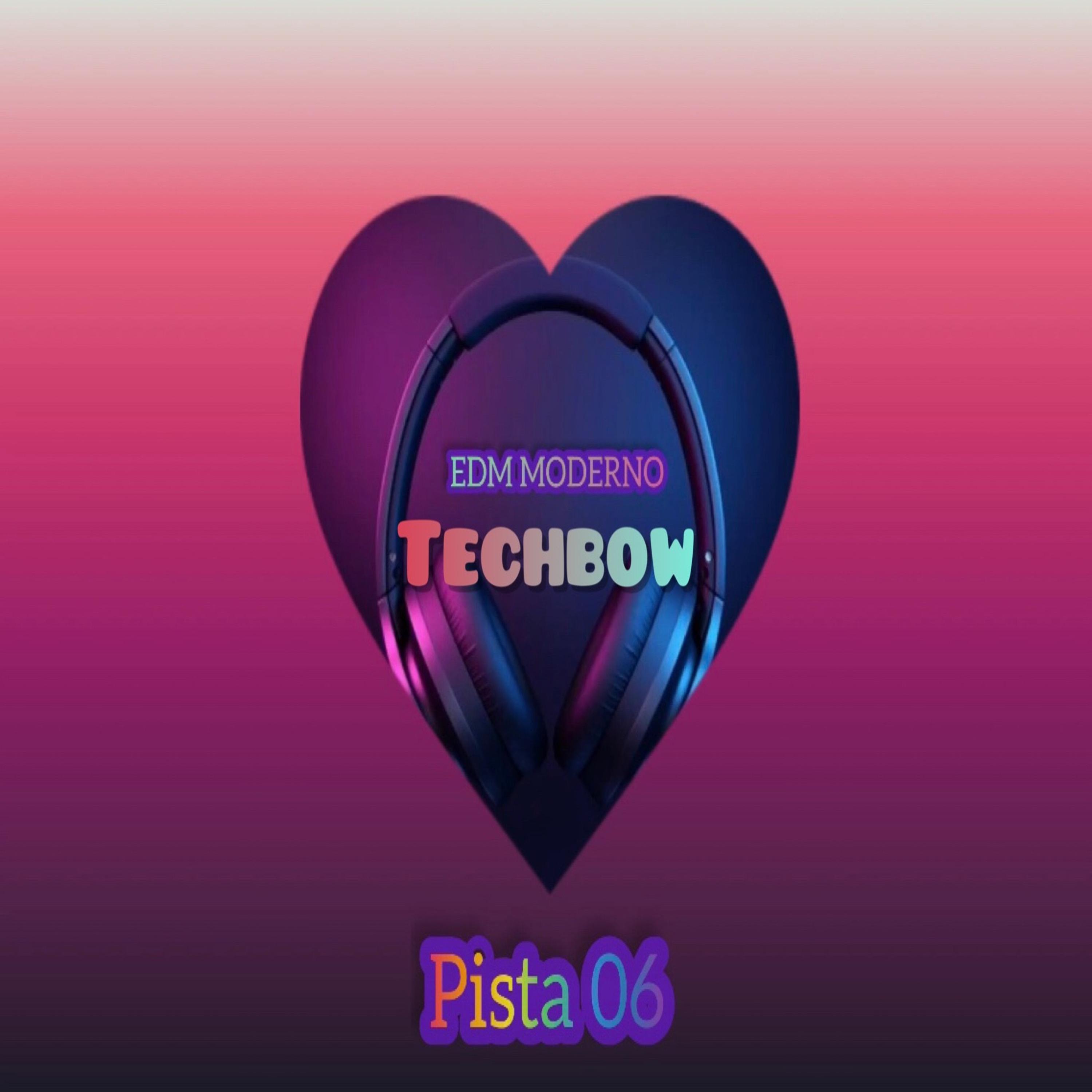 Постер альбома Techbow  Pista 06