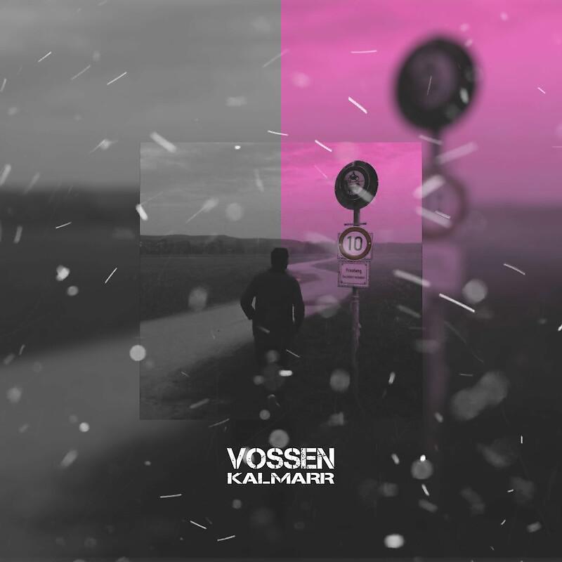 Постер альбома Vossen