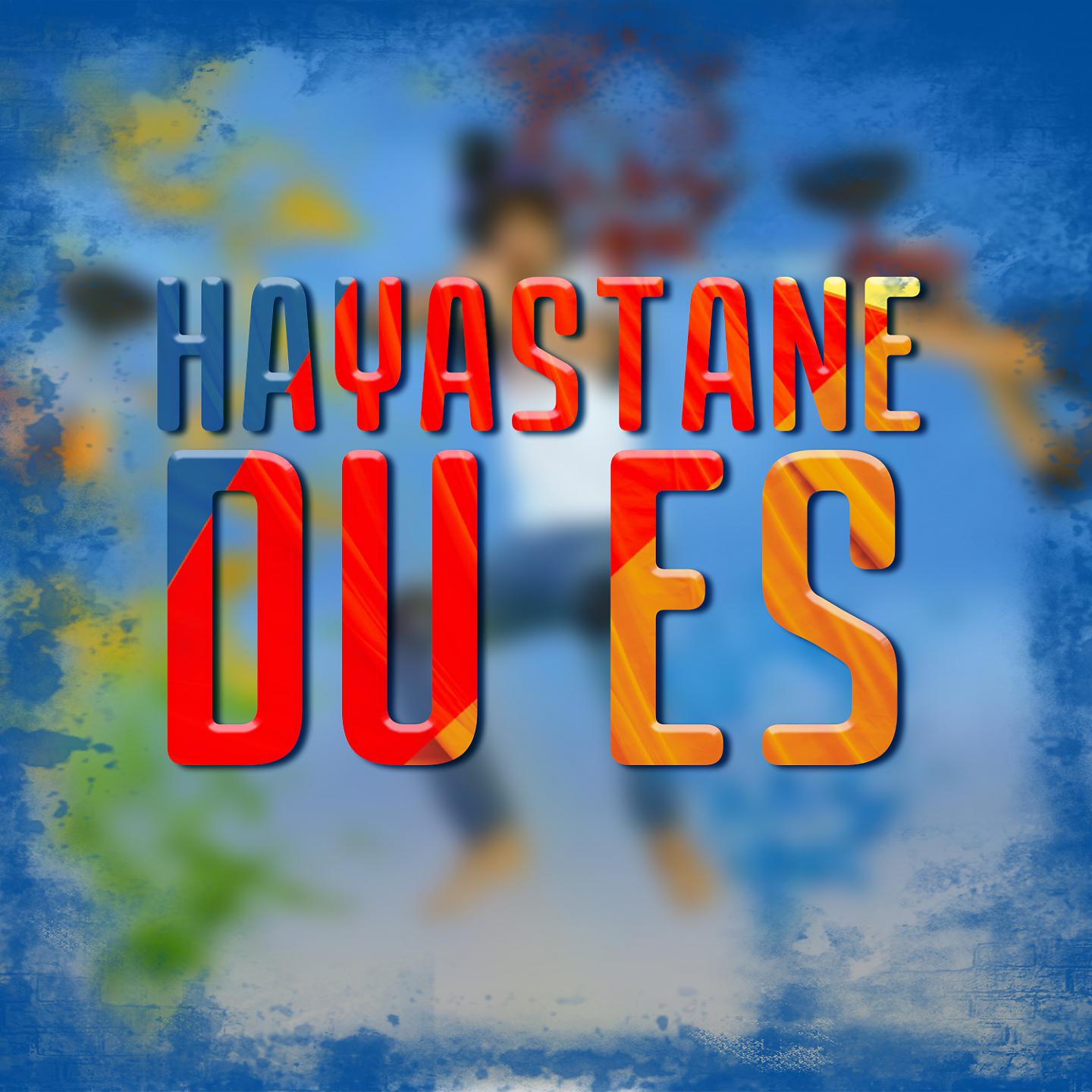Постер альбома Hayastane Du Es