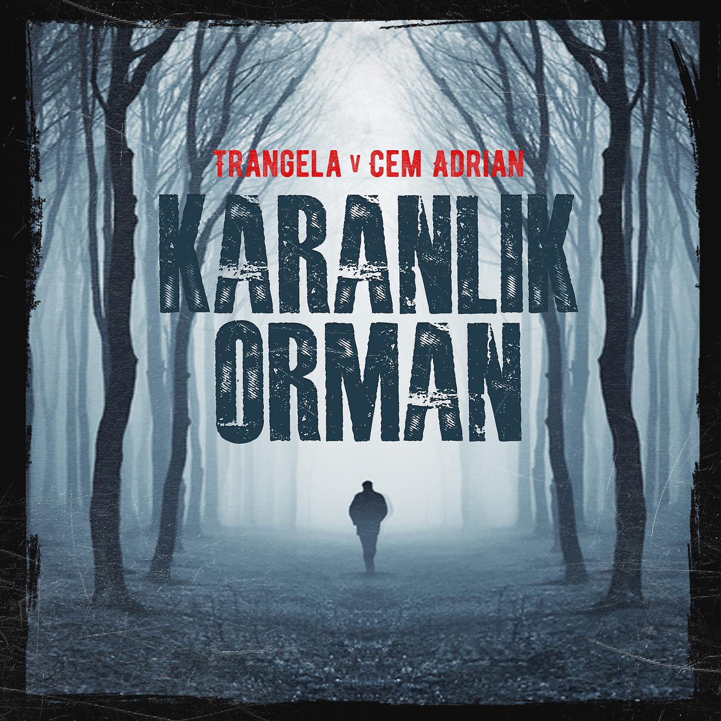 Постер альбома Karanlık Orman