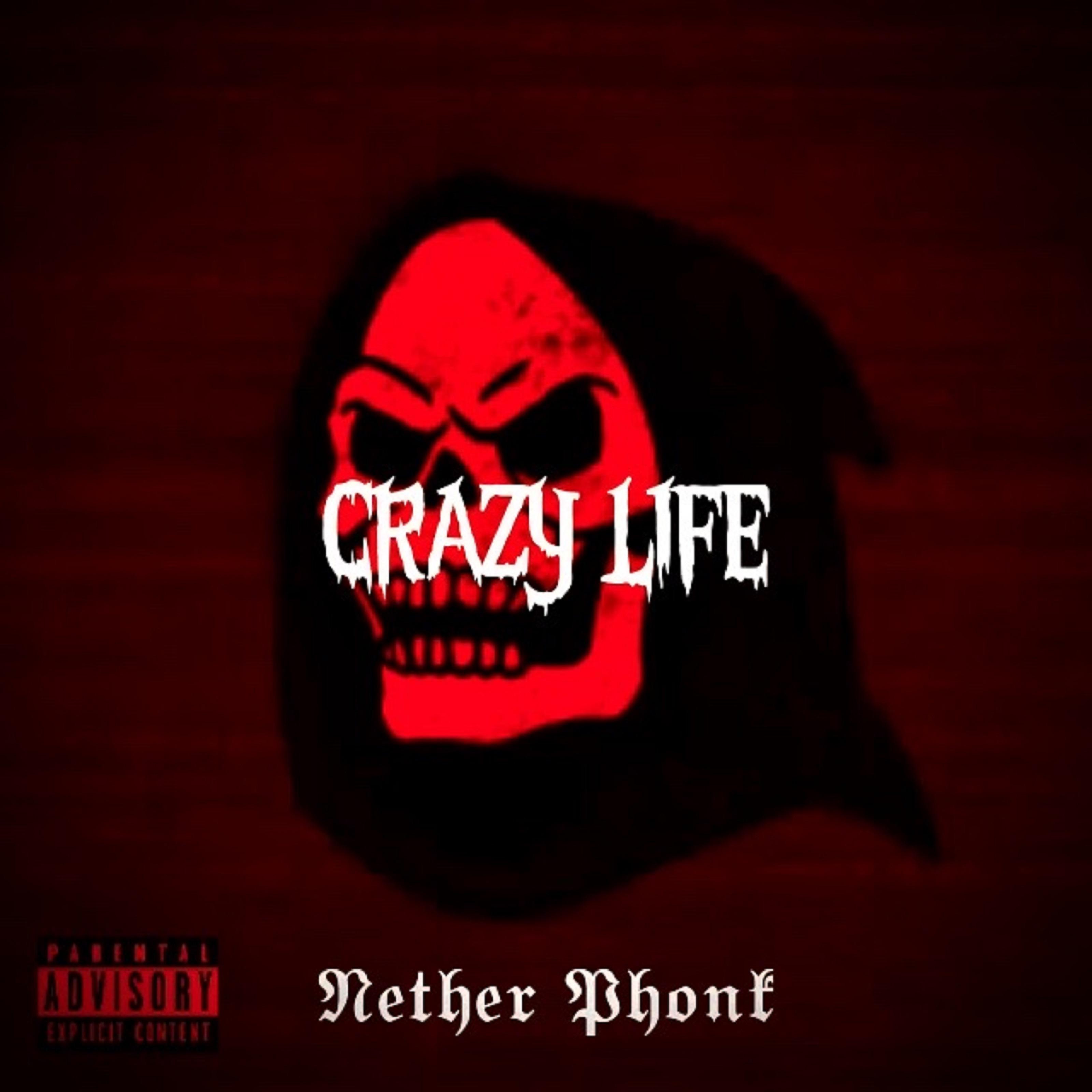 Постер альбома Crazy Life