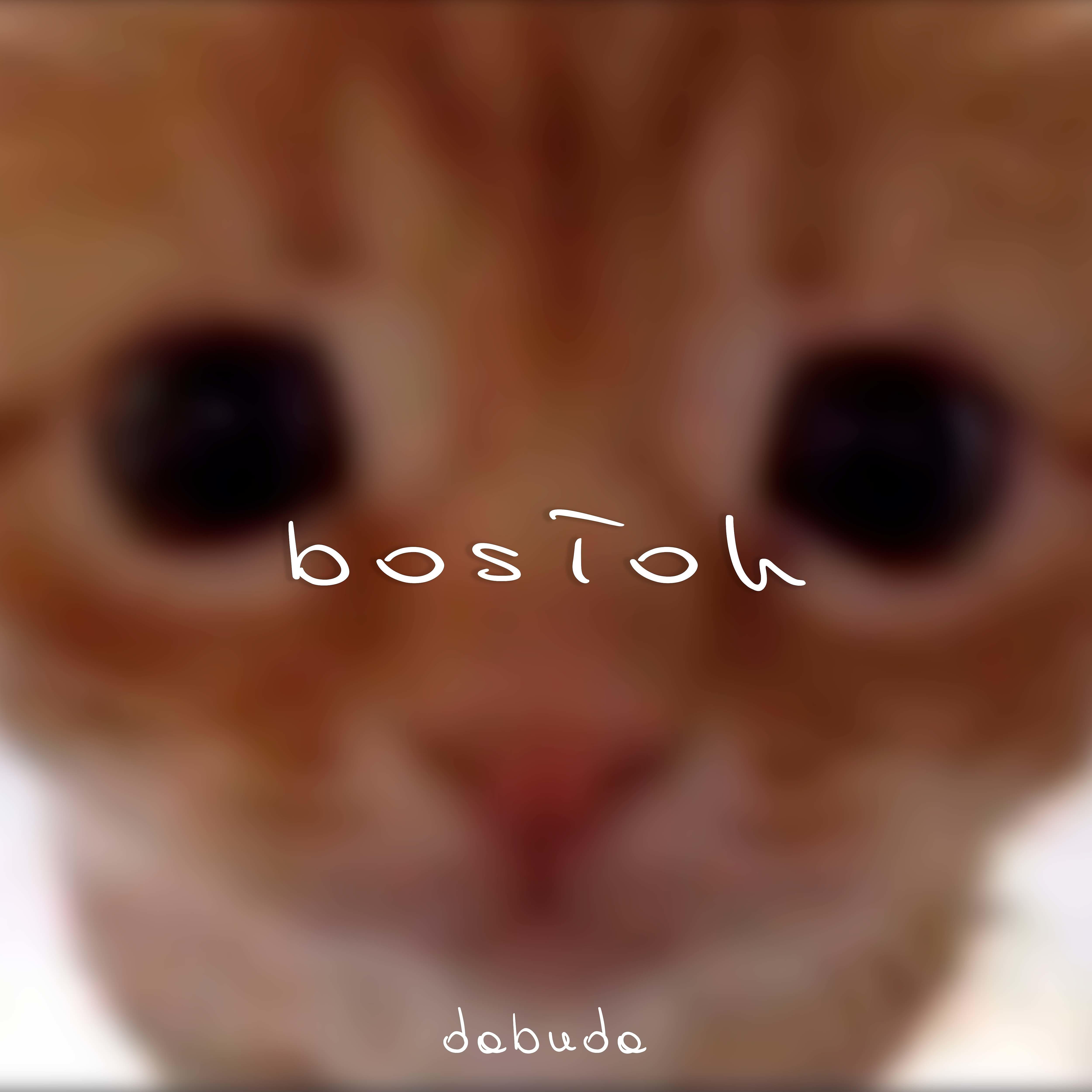 Постер альбома Boston