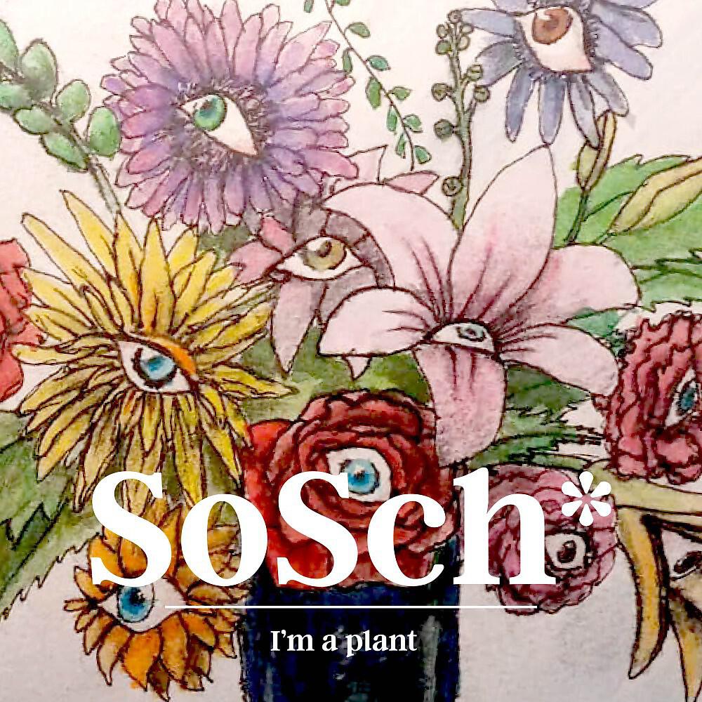 SoSch* - Ports