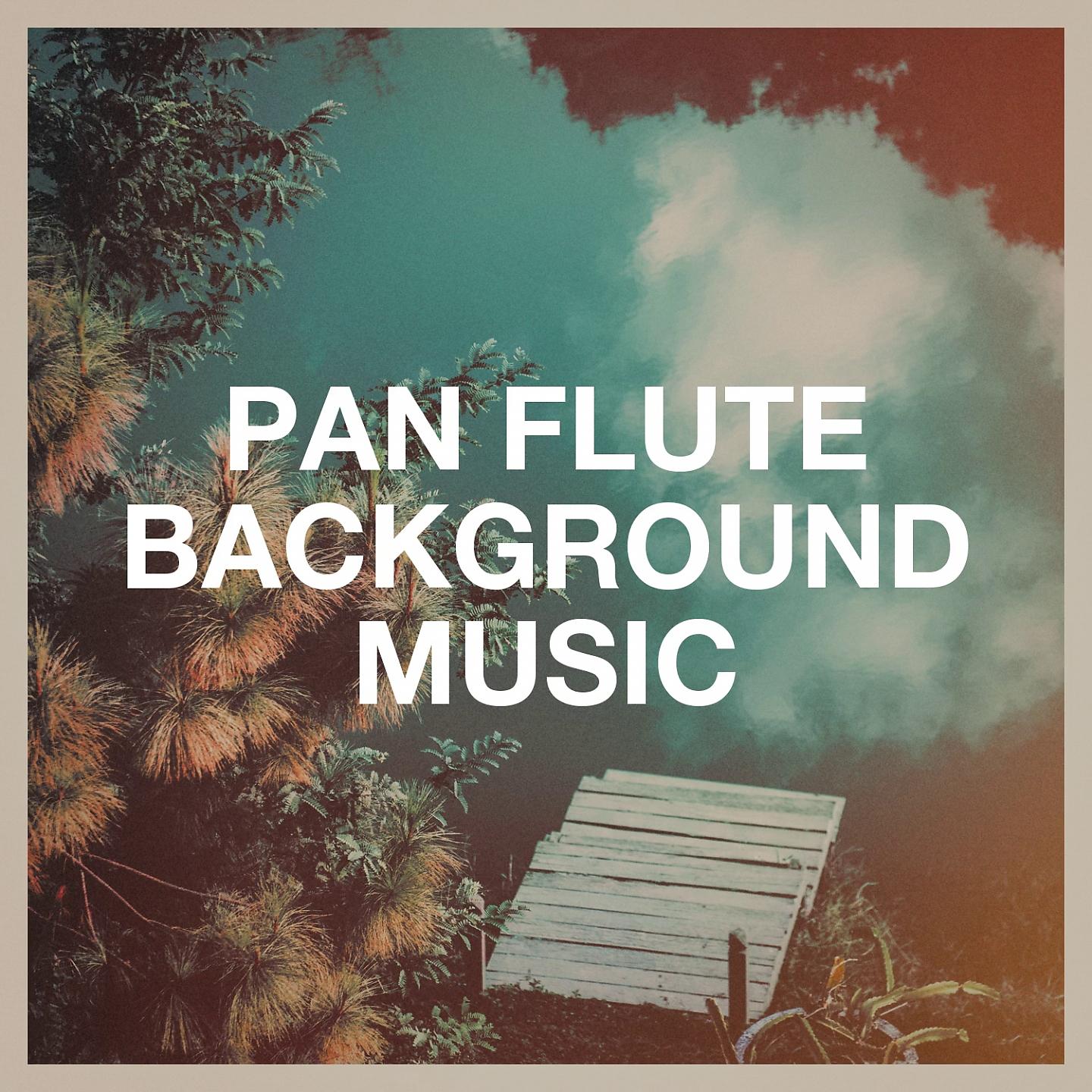 Постер альбома Pan Flute Background Music