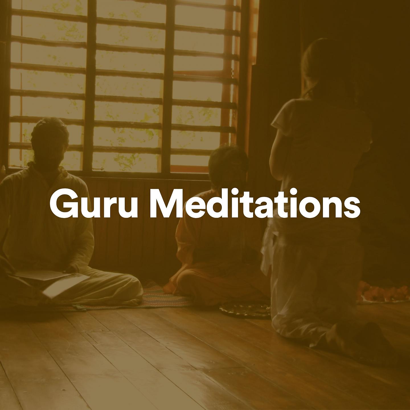 Постер альбома Guru Meditations