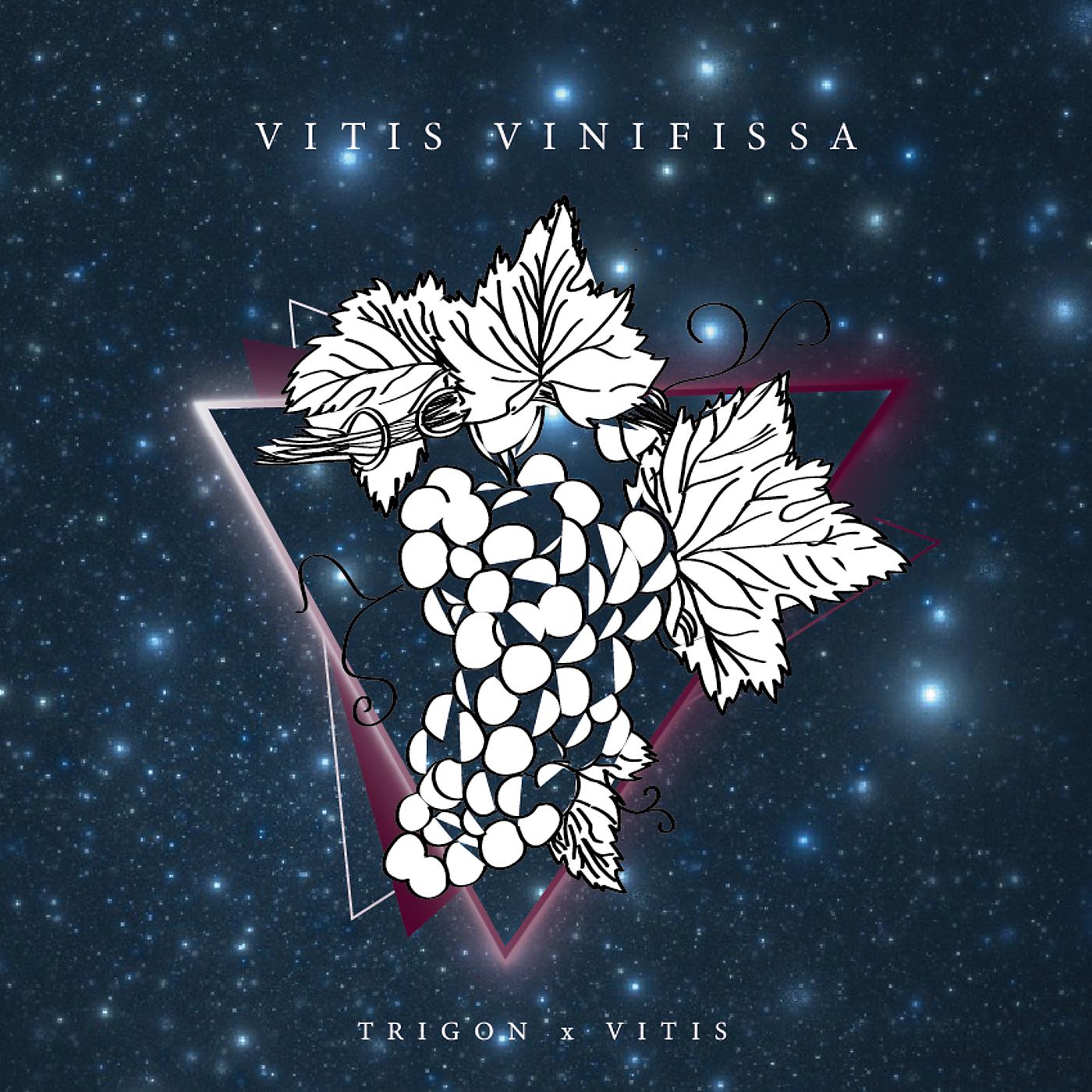Постер альбома Vitis Vinifissa