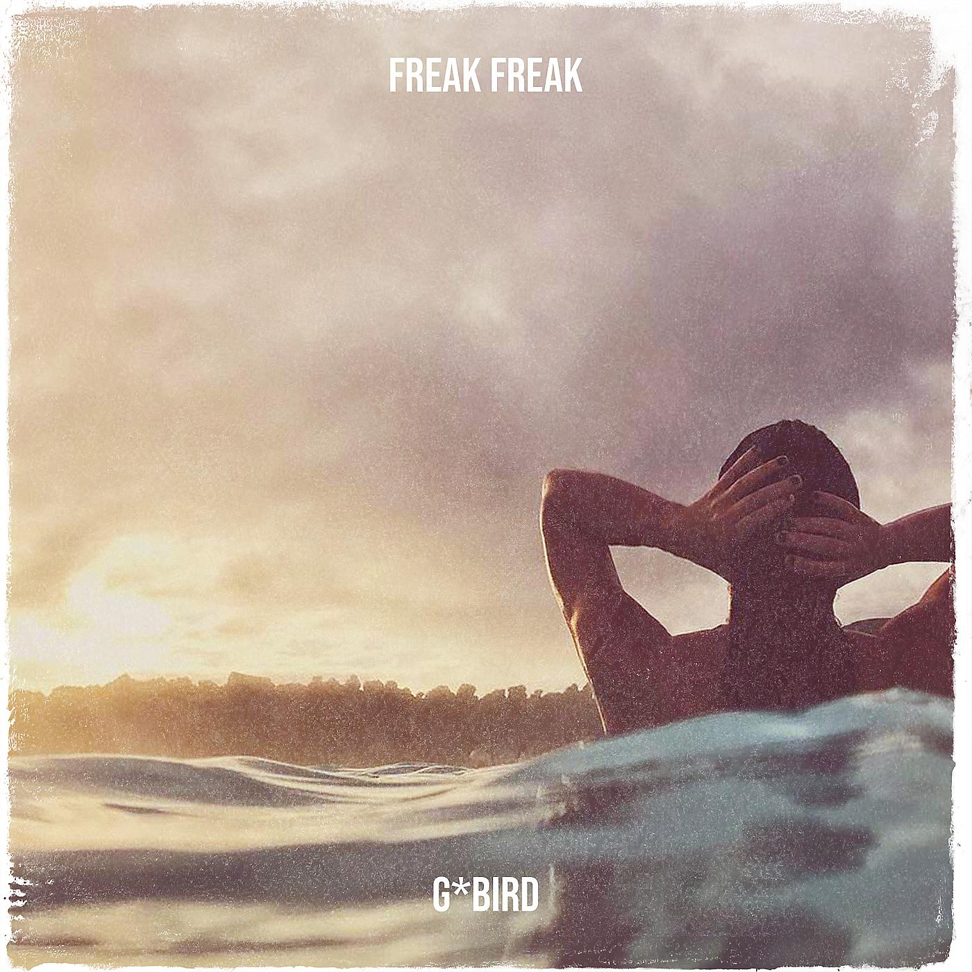 Постер альбома Freak Freak