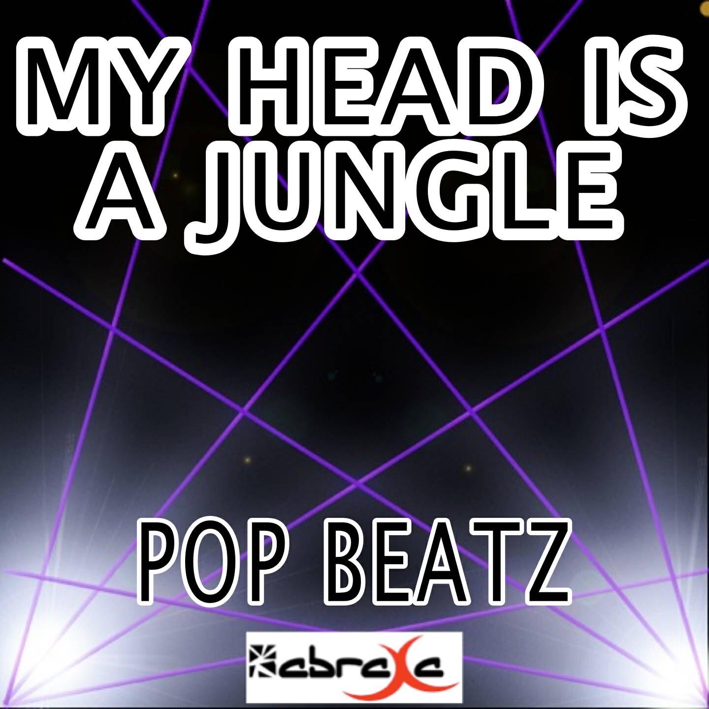Pop Beatz - My Head Is a Jungle (MK Remix)