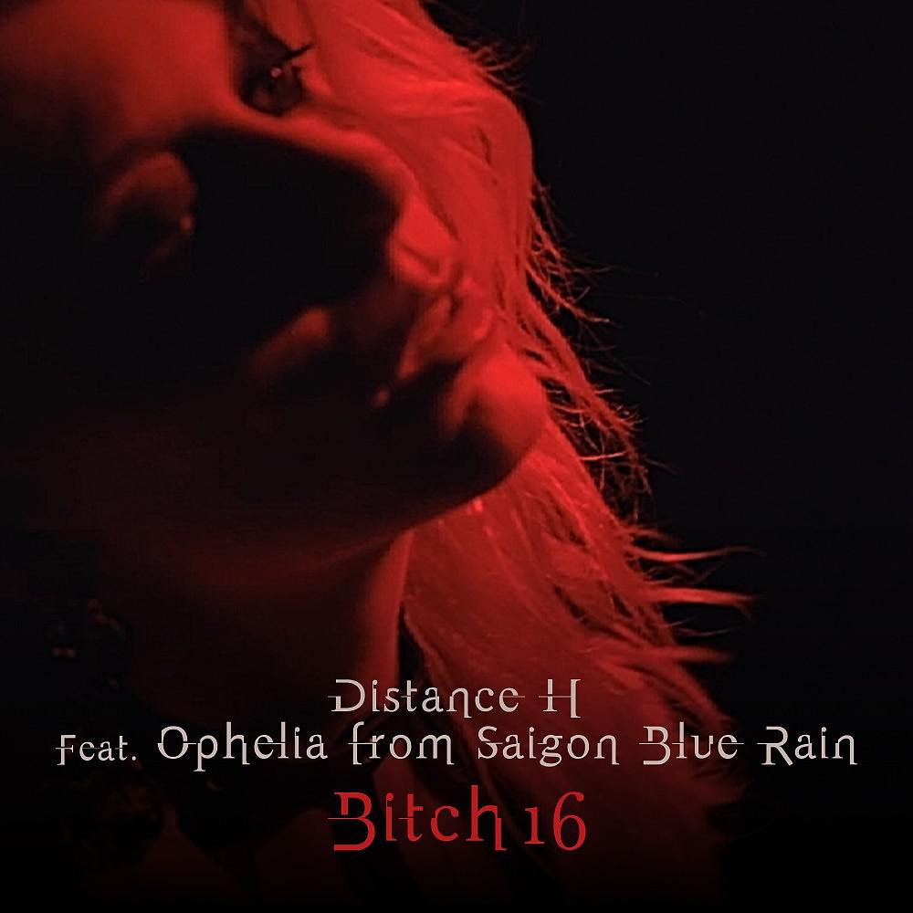 Постер альбома Bitch 16