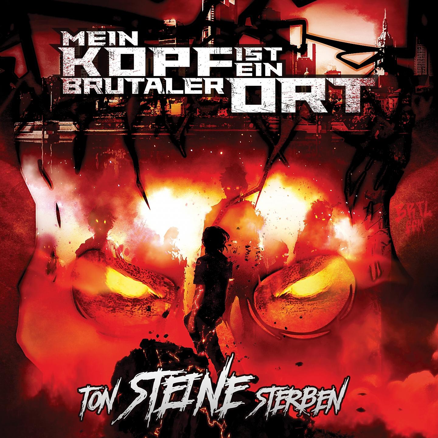 Постер альбома Ton Steine Sterben