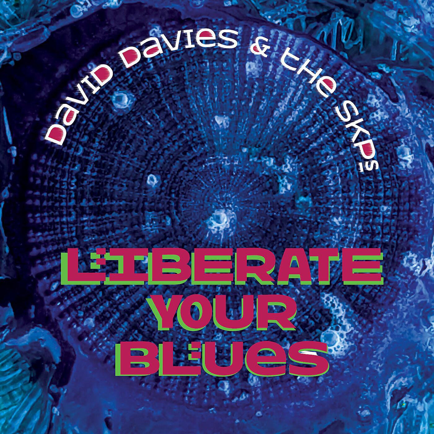 David Davies and the SKP's - Come on Down