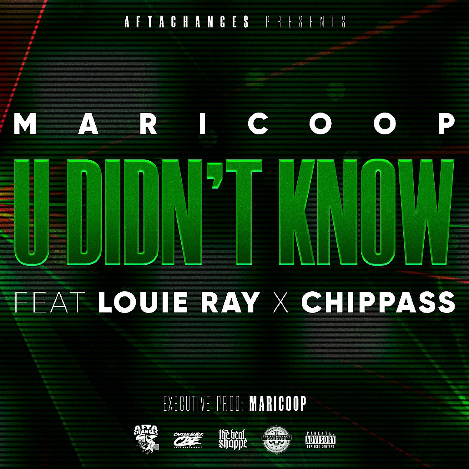 Постер альбома U Didn't Know (feat. Louie Ray & Chippass)