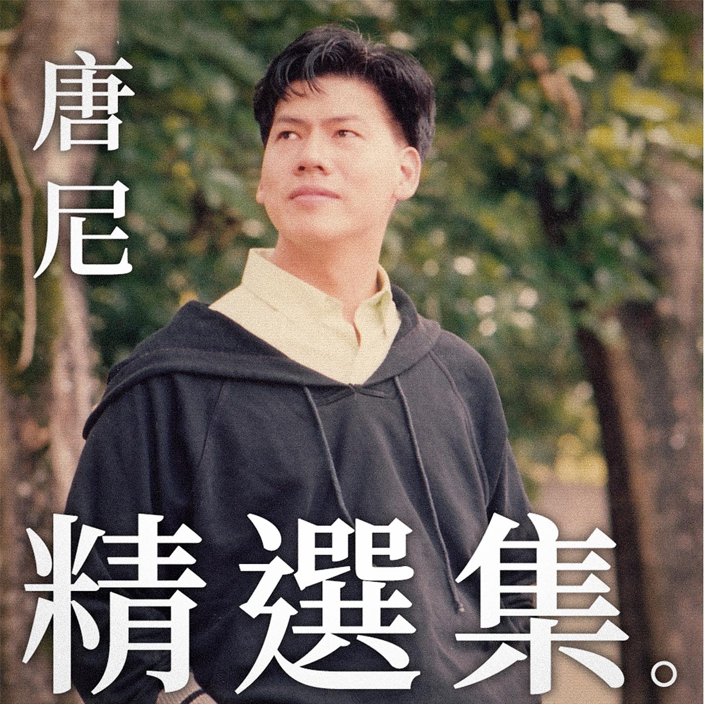 Постер альбома 唐尼精選集