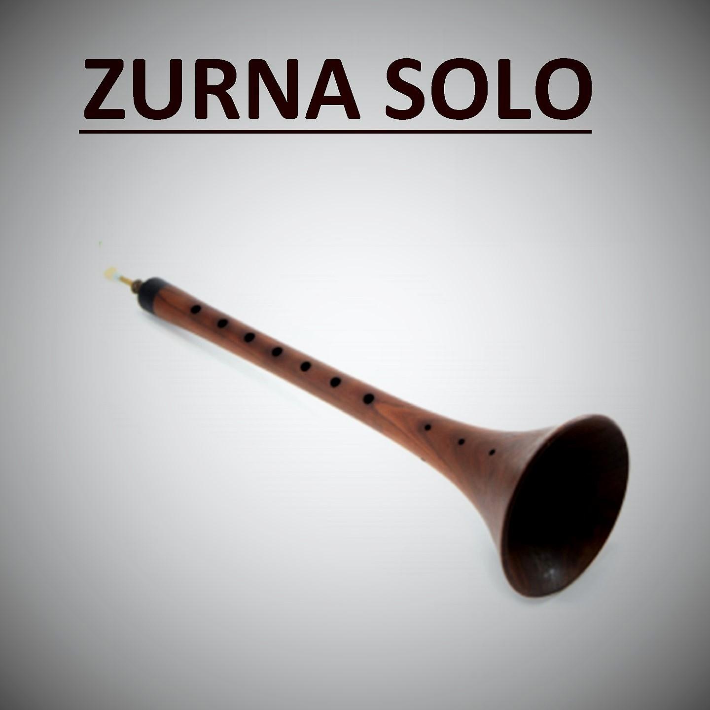 Постер альбома Zurna Solo