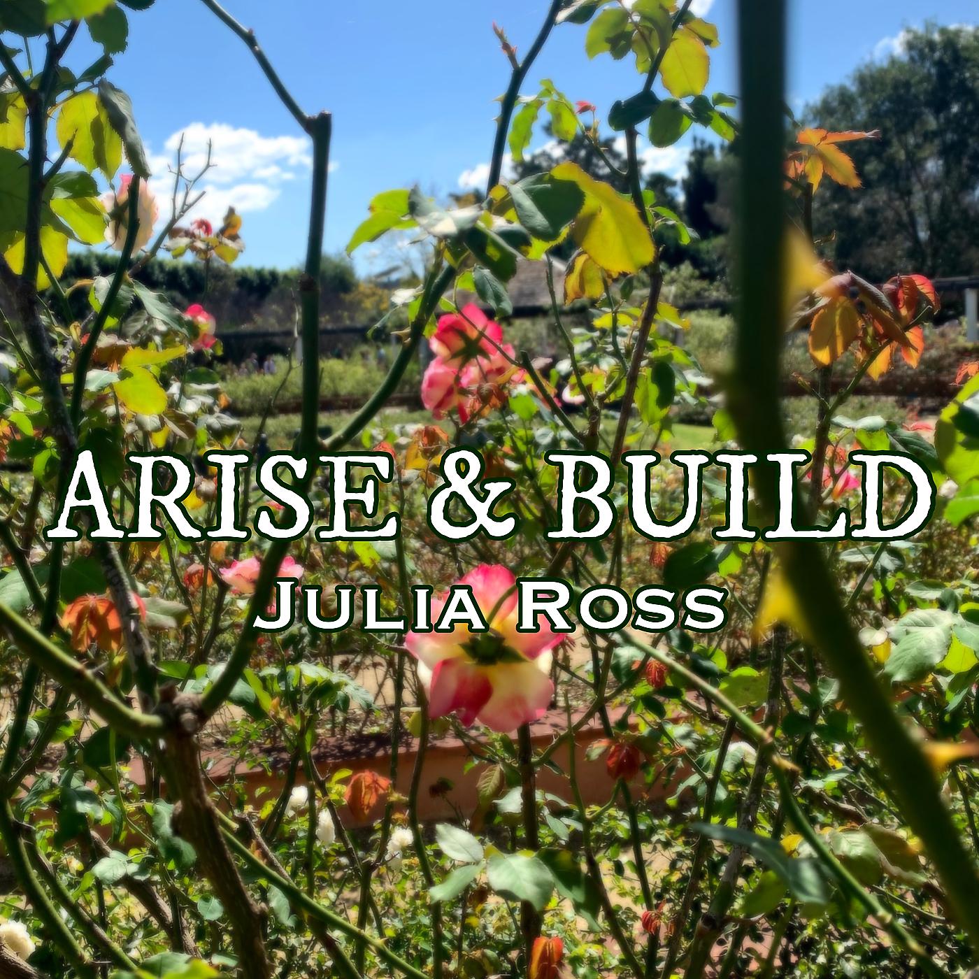 Постер альбома Arise & Build