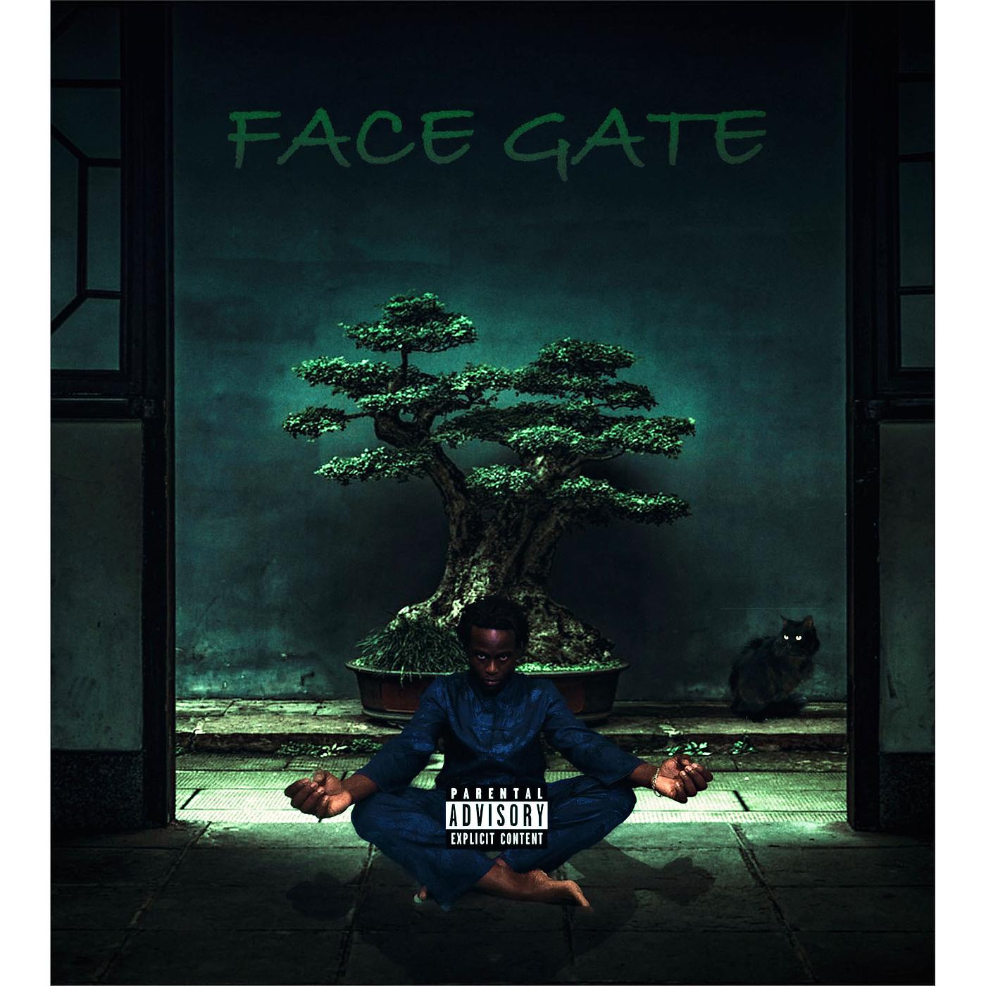 Постер альбома Face Gate