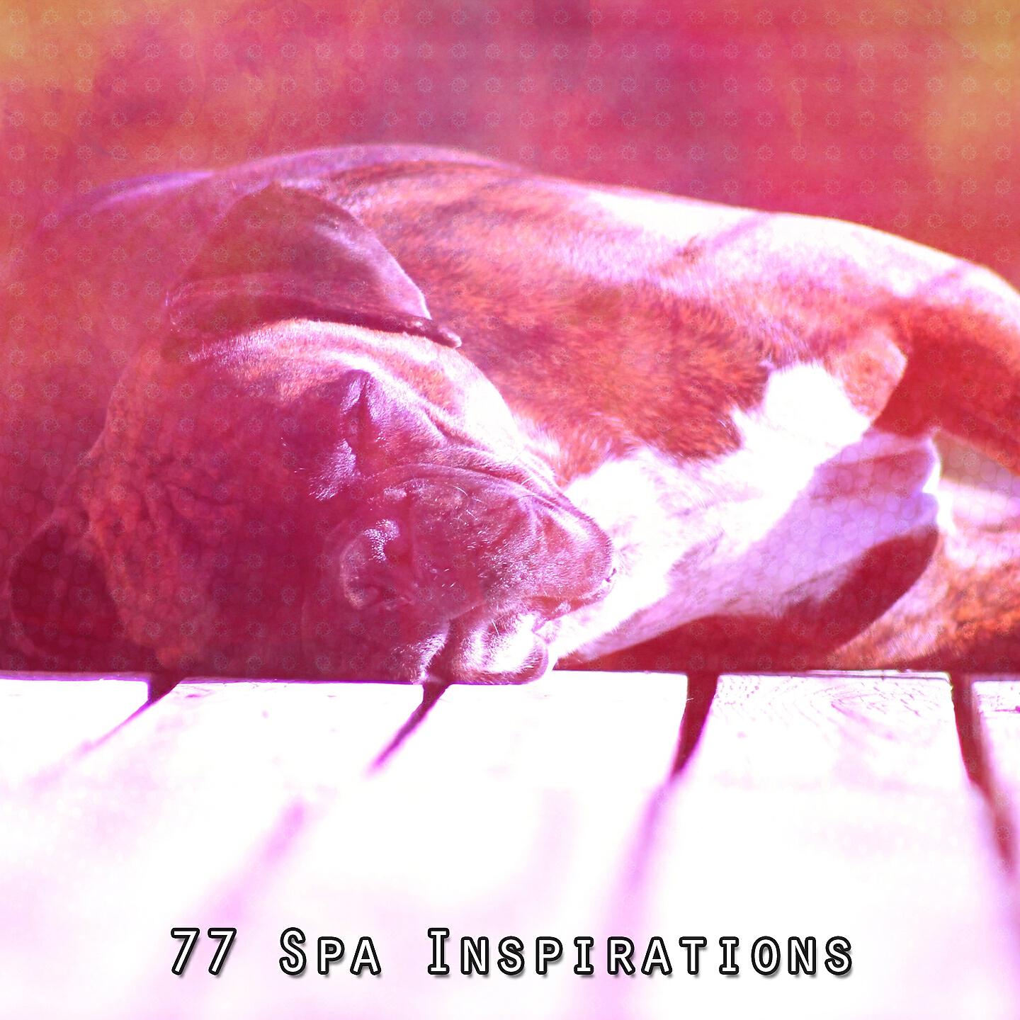 Musica para Dormir Dream House - Prescripted Nights Rest