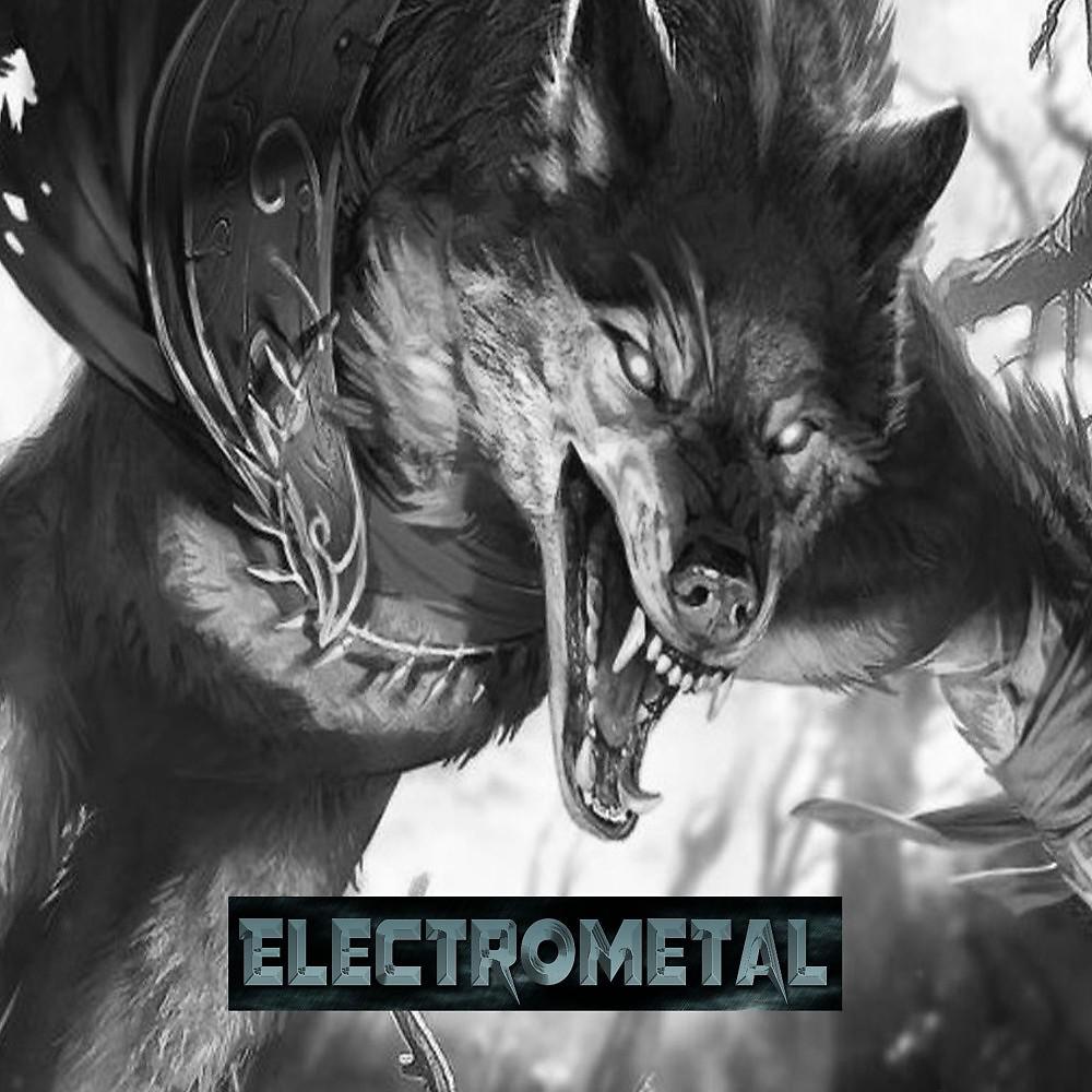 Постер альбома Electrometal
