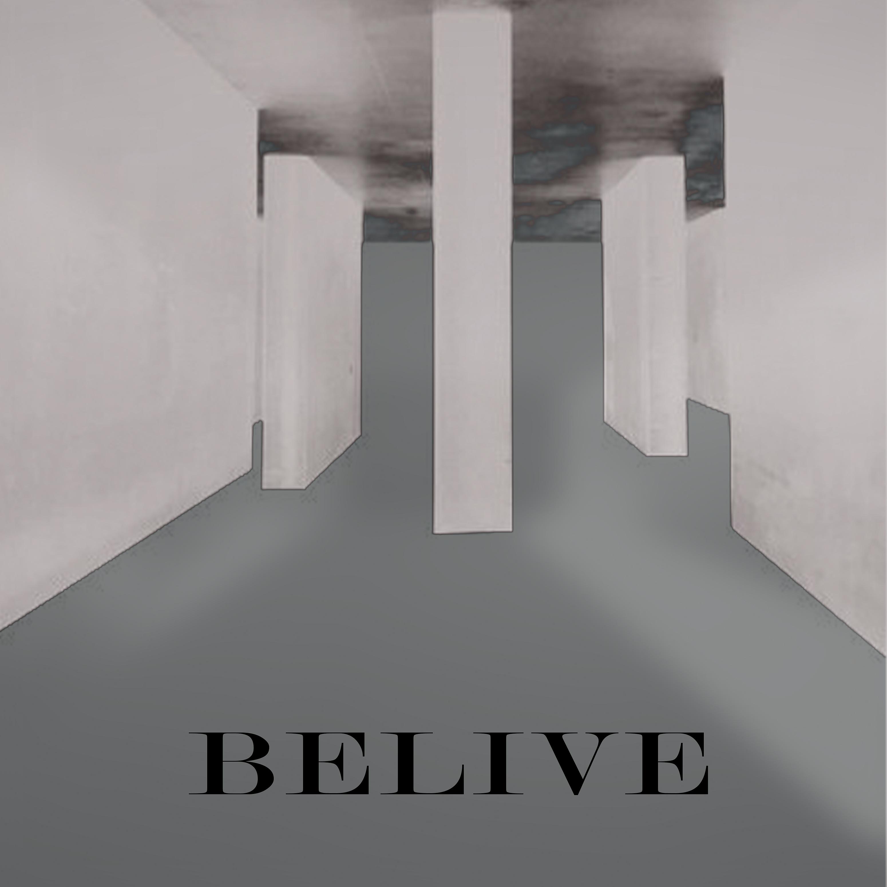 Постер альбома Belive