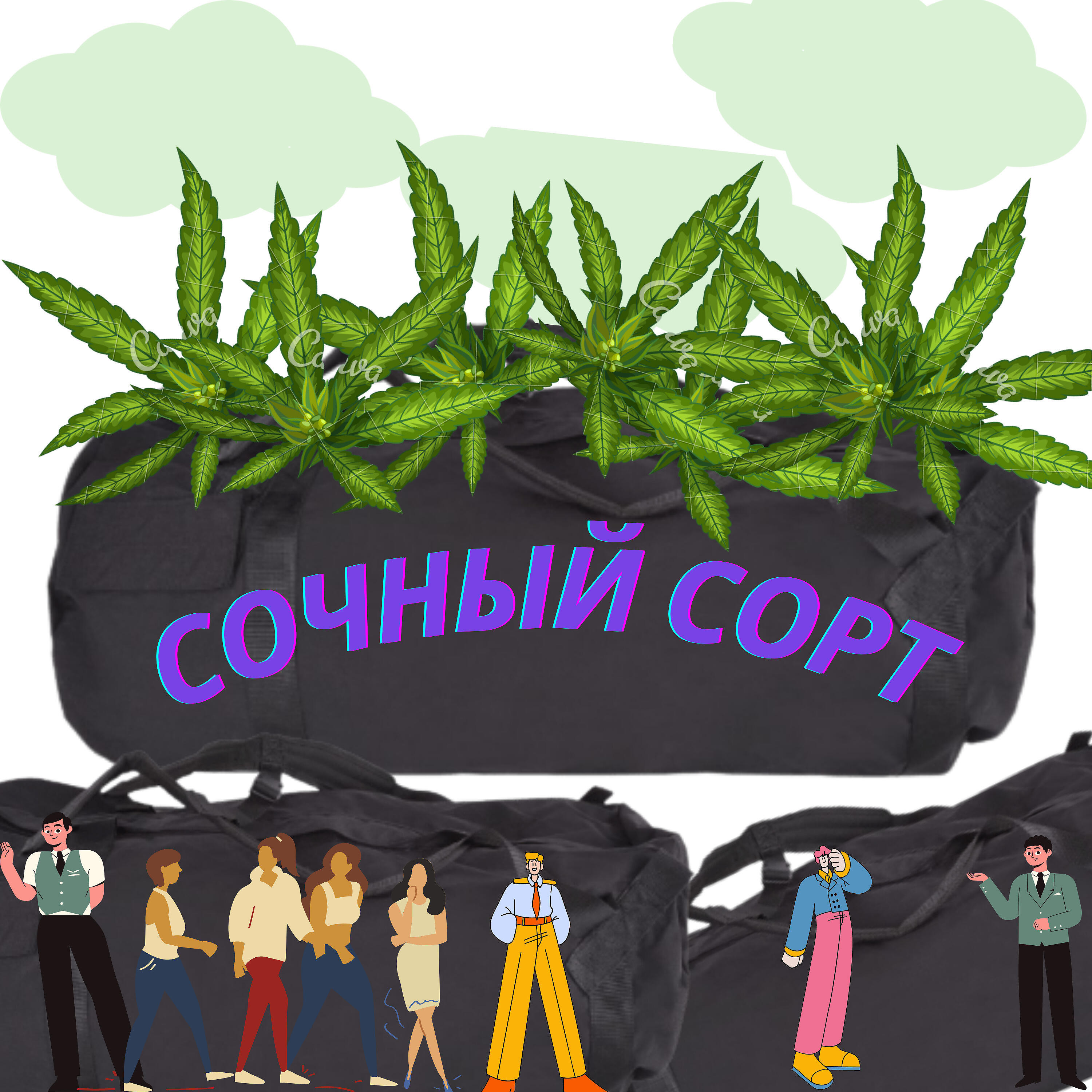 OLEG - Сочный сорт