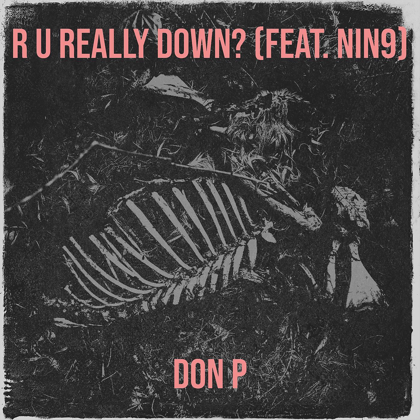 Постер альбома R U Really Down?