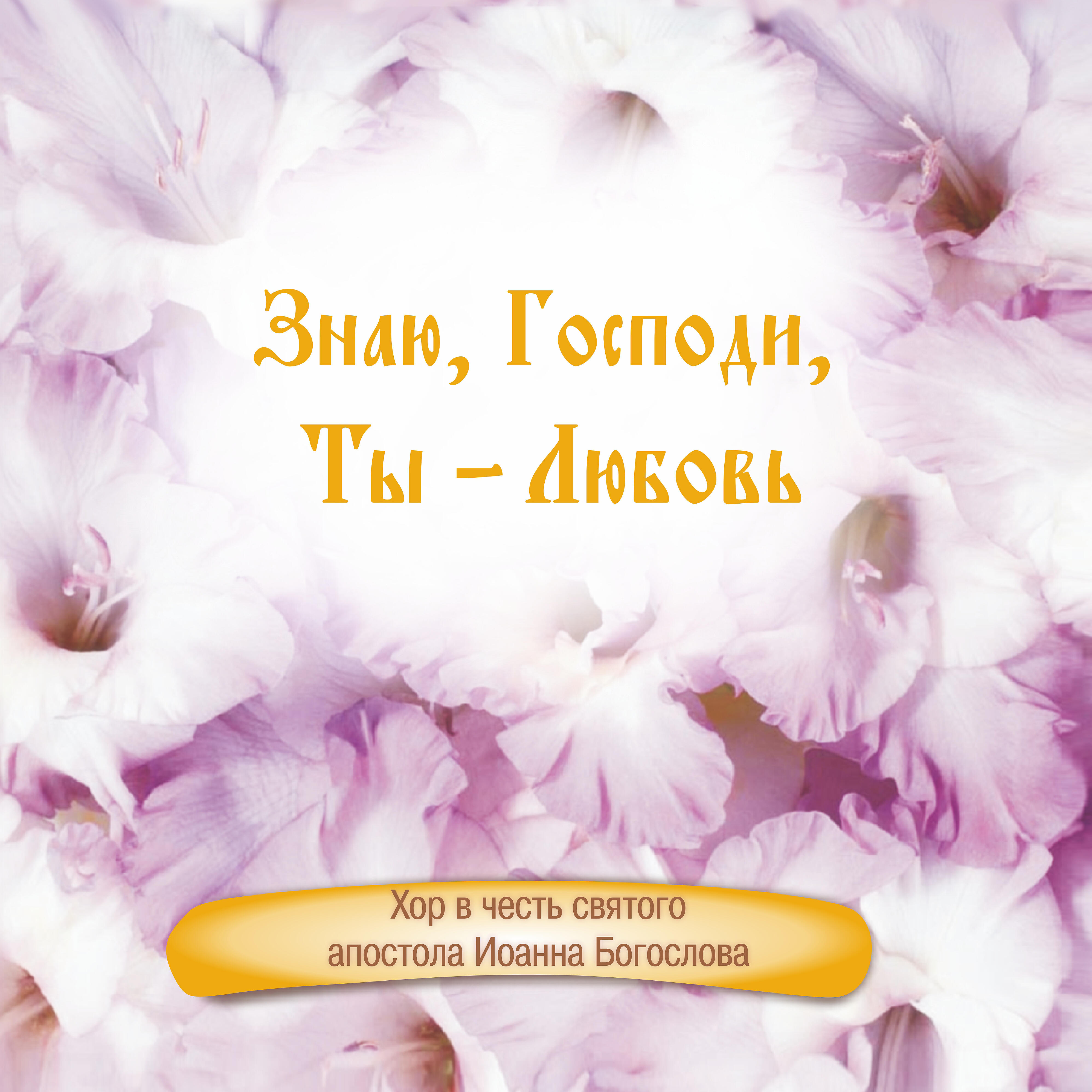 Хор в честь святого апостола Иоанна Богослова - Благослови, душе моя, Господа