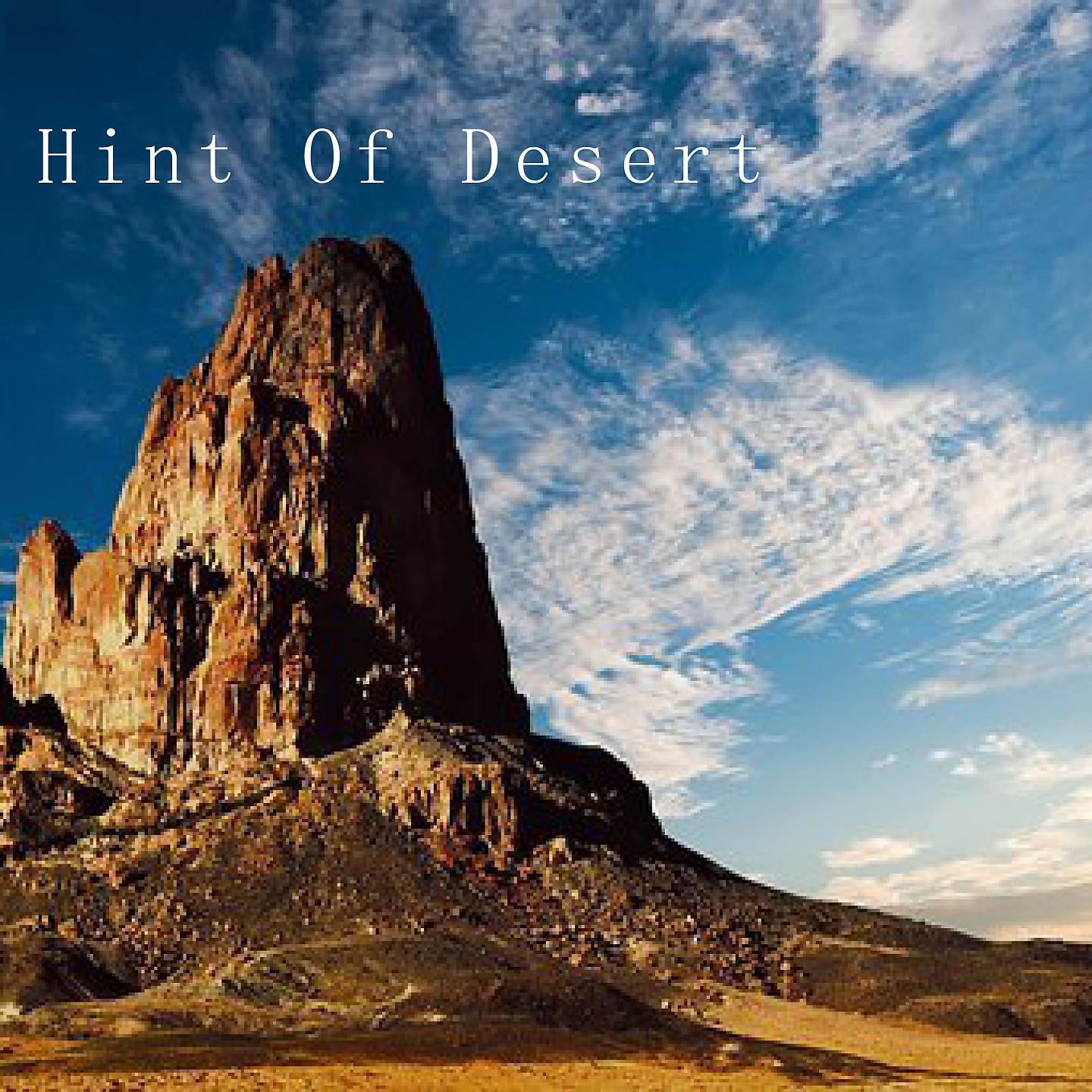 Постер альбома Hint Of Desert
