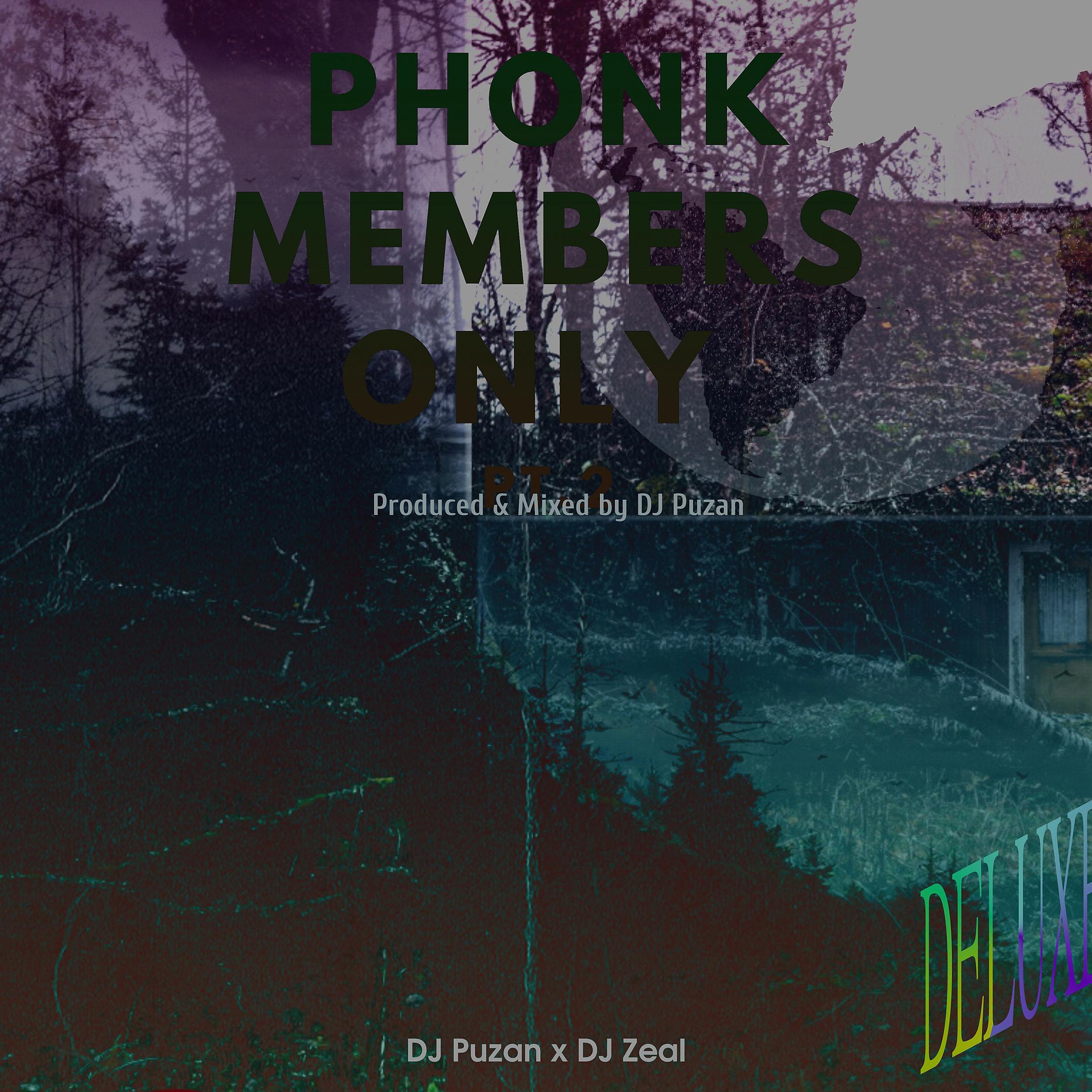 Постер альбома Phonk Members Only, Pt. 2