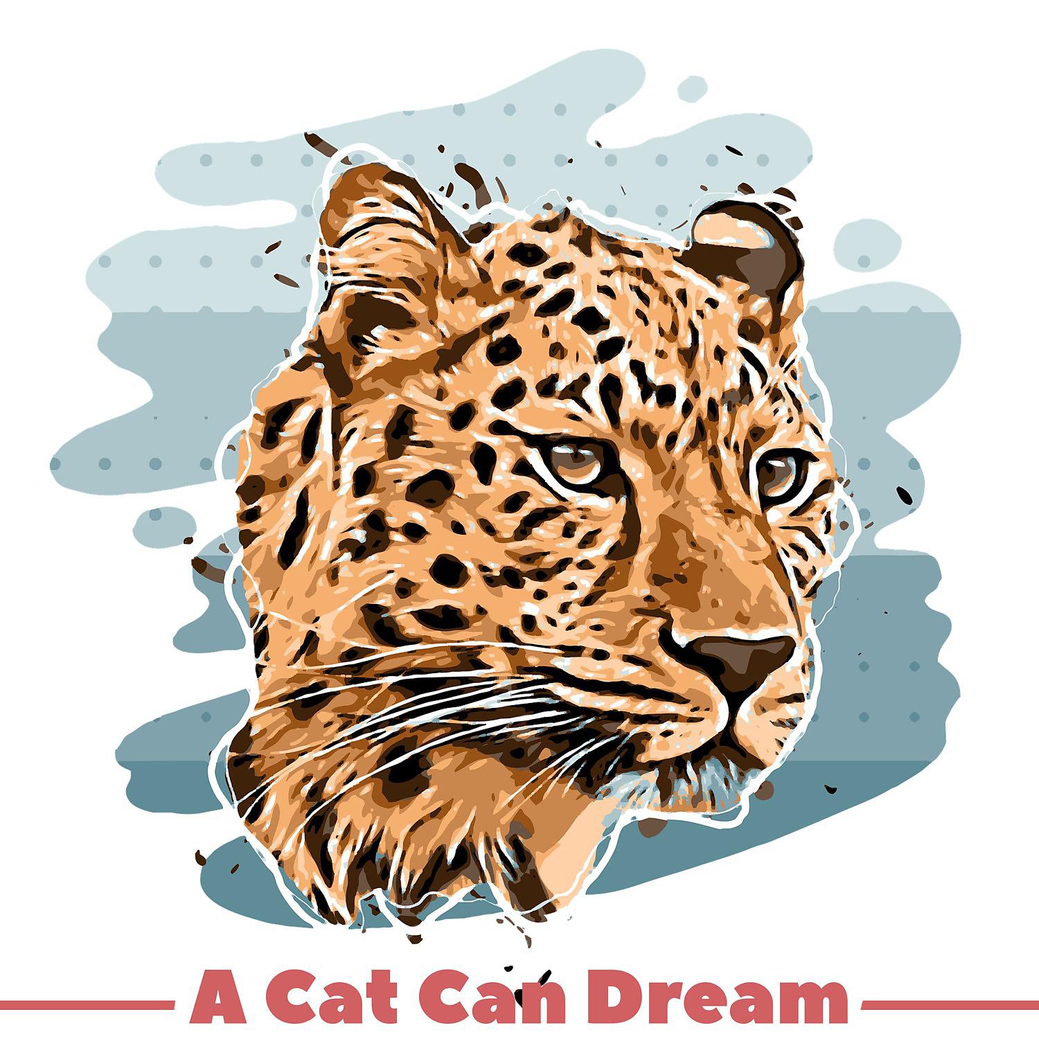 Постер альбома A Cat Can Dream