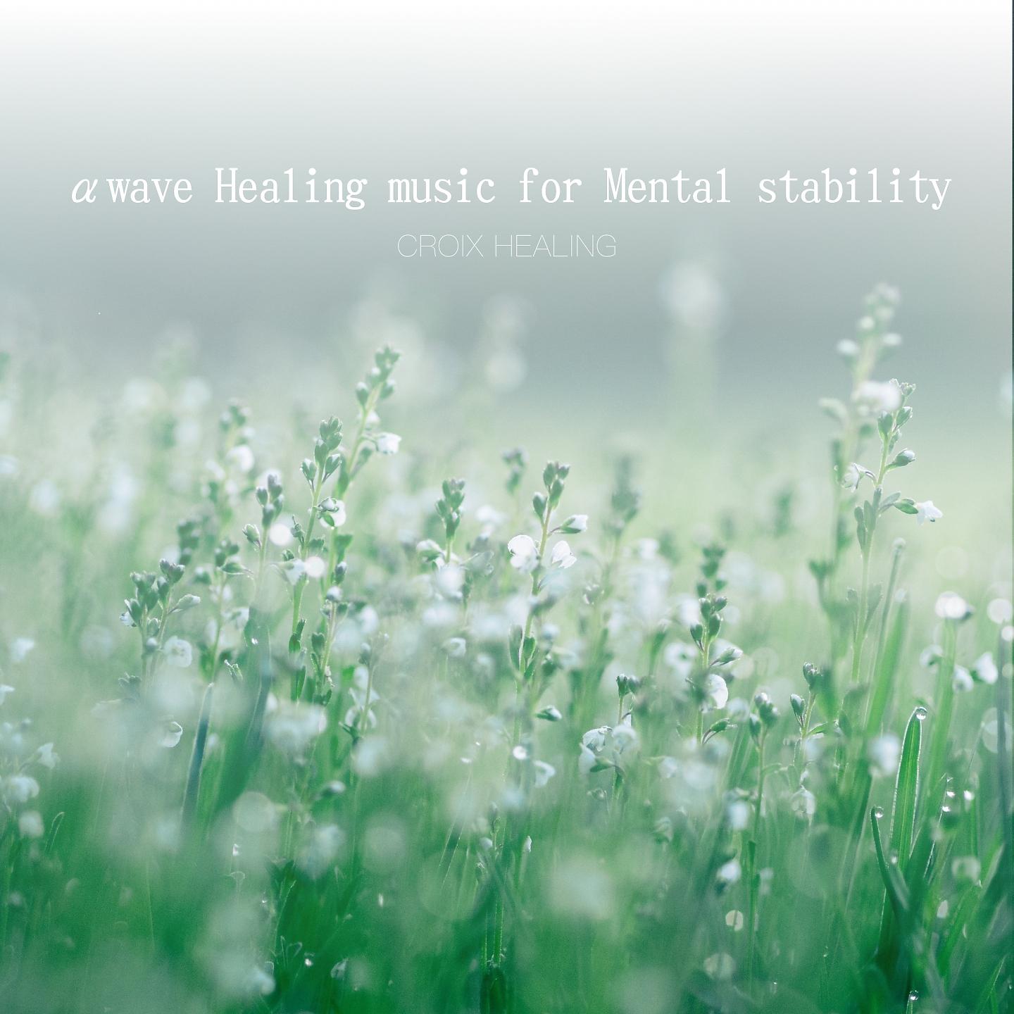 Постер альбома Healing music for mental stability