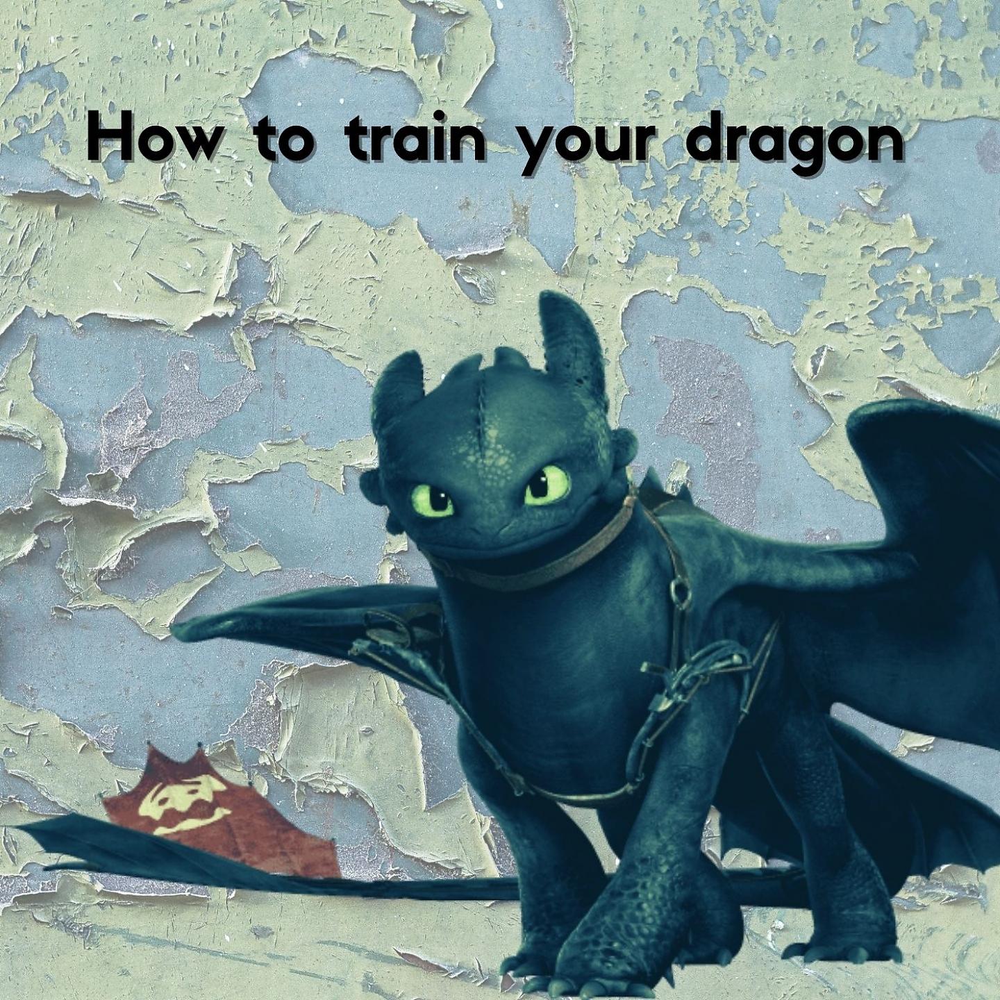 Постер альбома How to Train Your Dragon