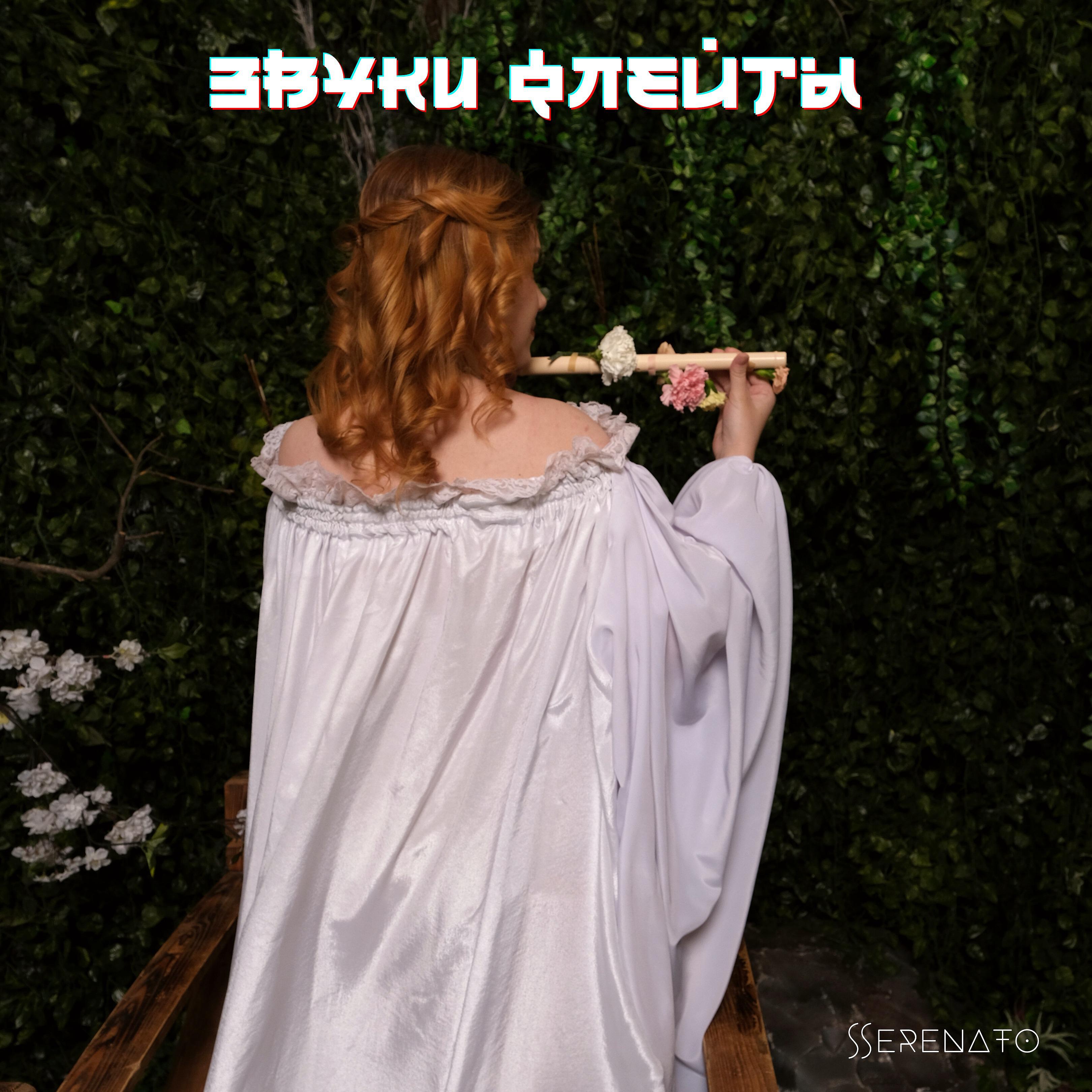Постер альбома Звуки флейты