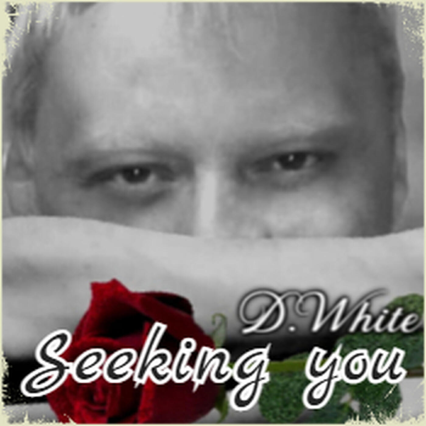 D.White - Seeking You