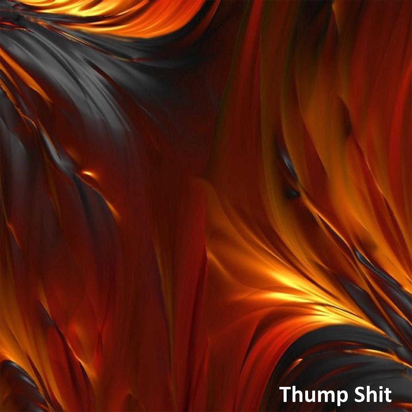 Постер альбома Thump Shit