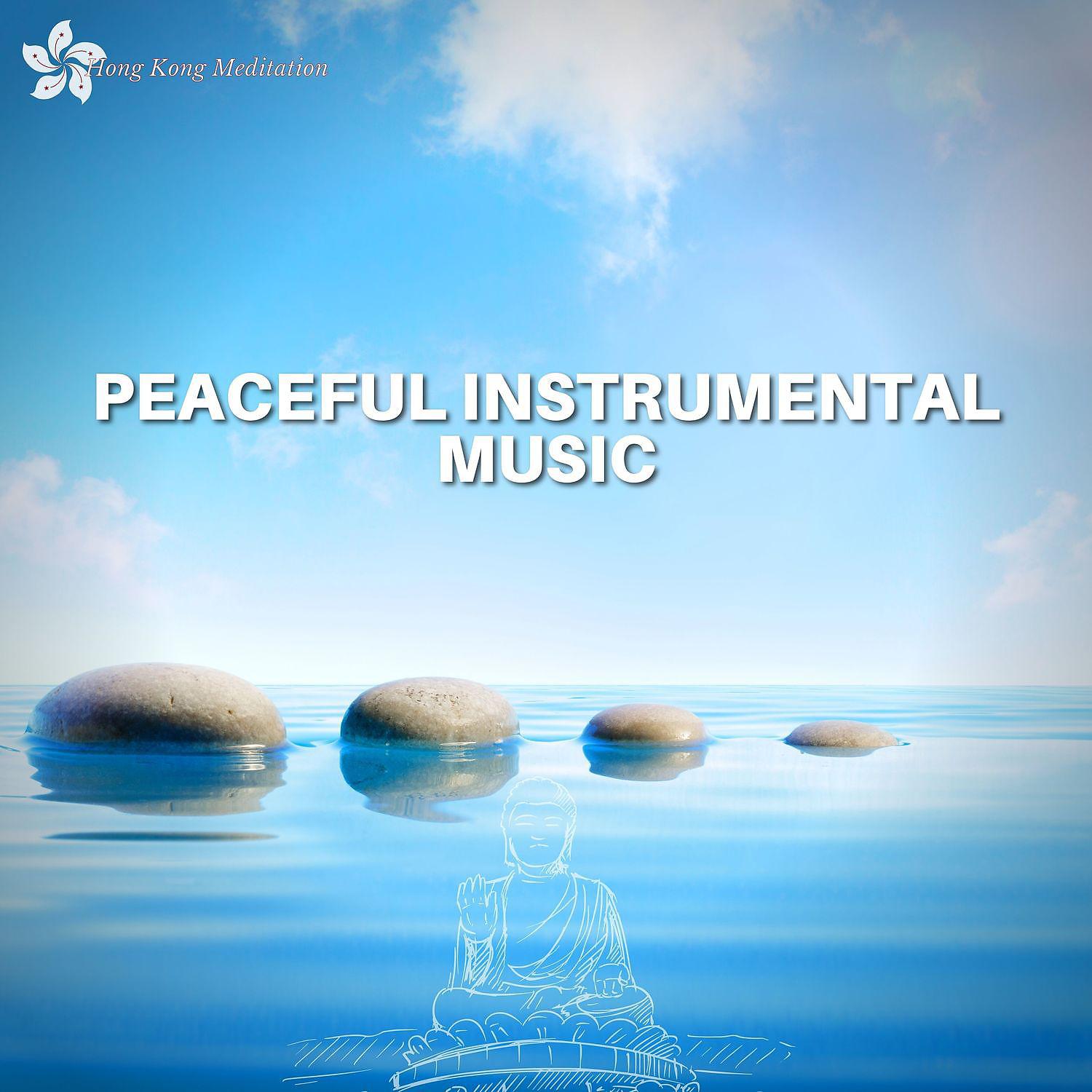 Постер альбома Peaceful Instrumental Music