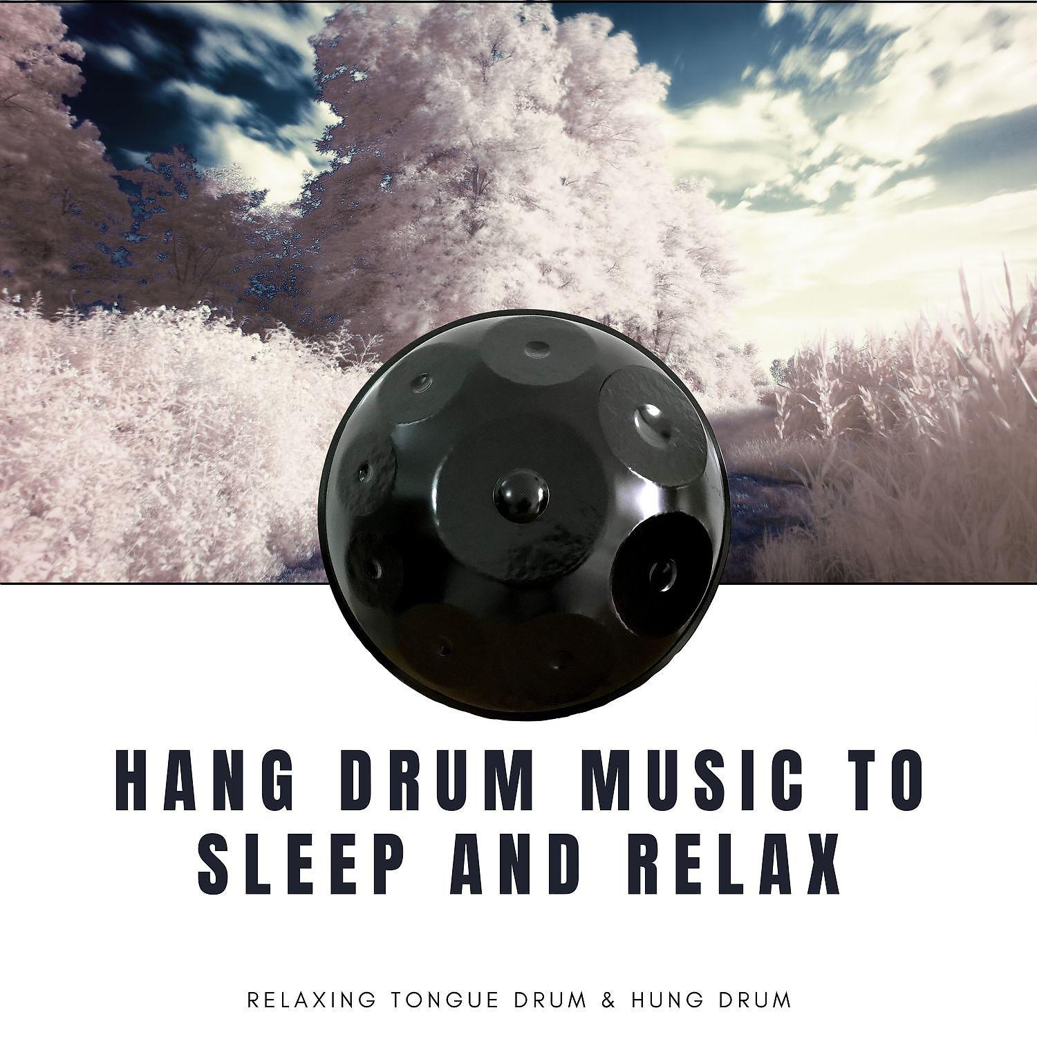 Постер альбома Hang Drum Music to Sleep and Relax