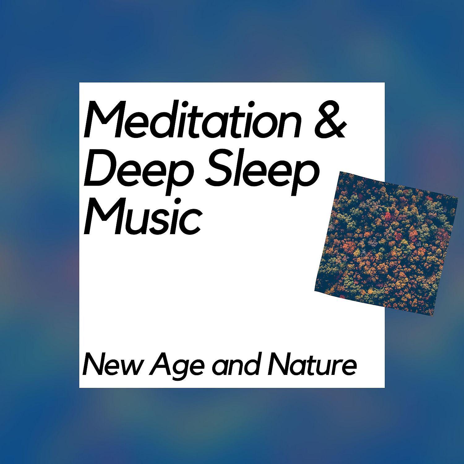 Постер альбома Meditation & Deep Sleep Music (New Age and Nature)