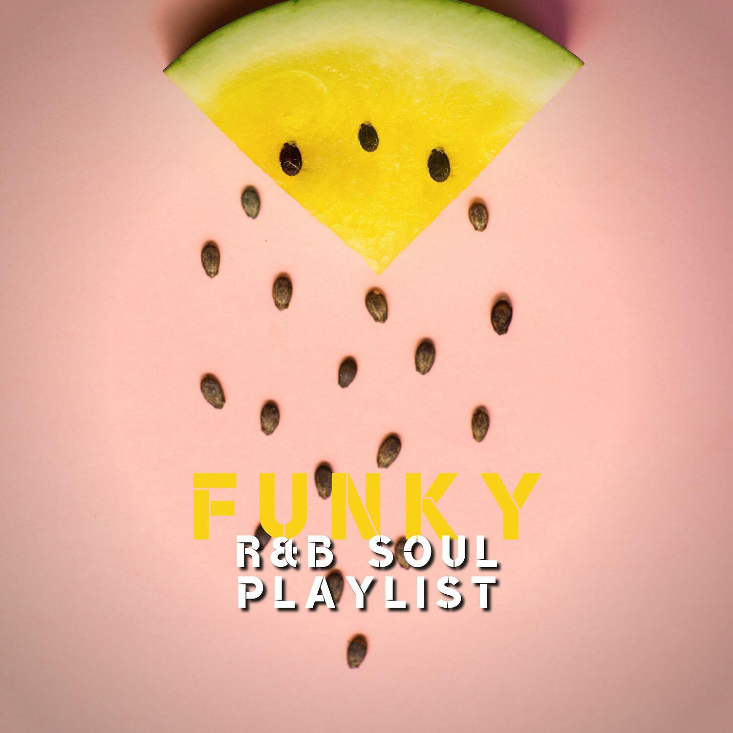 Постер альбома Funky R&B Soul Playlist