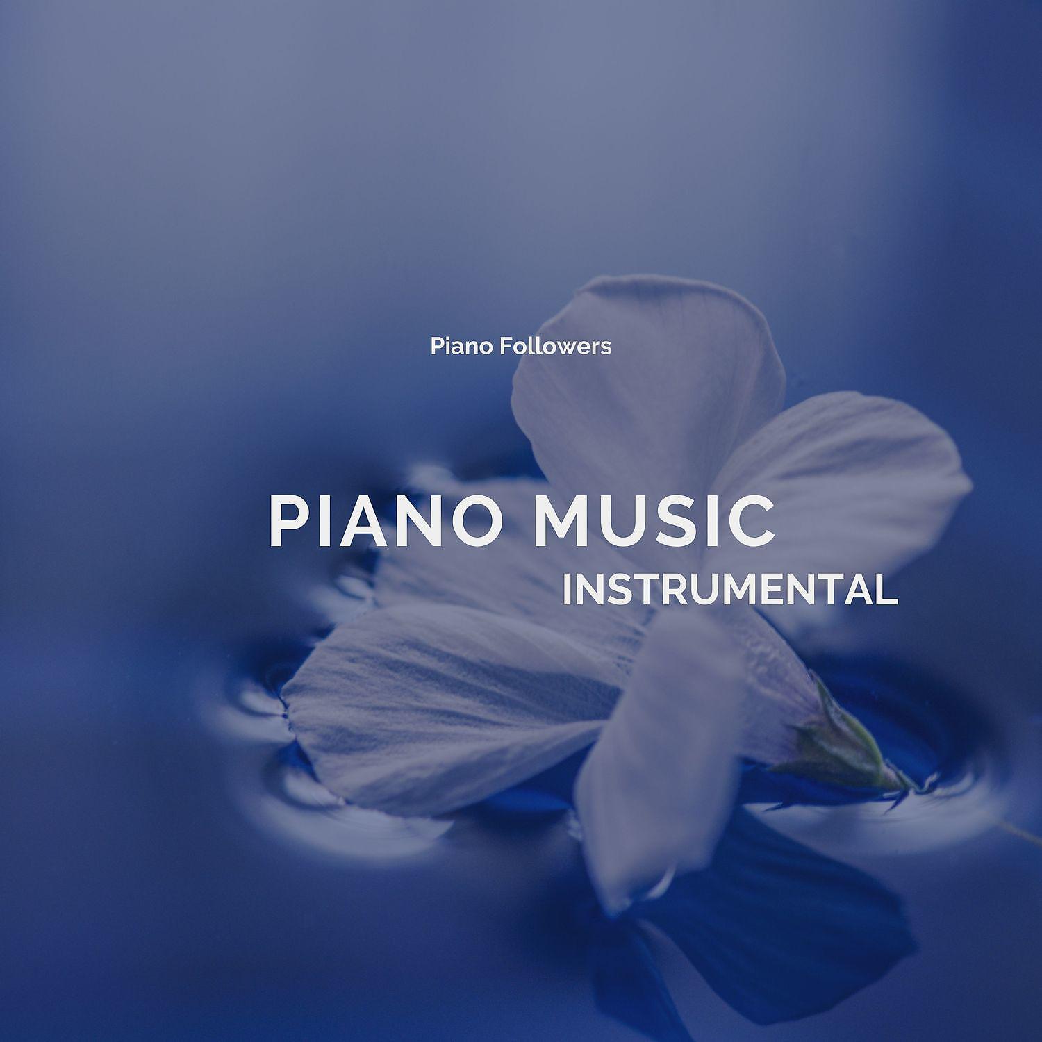 Постер альбома Instrumental Piano Music
